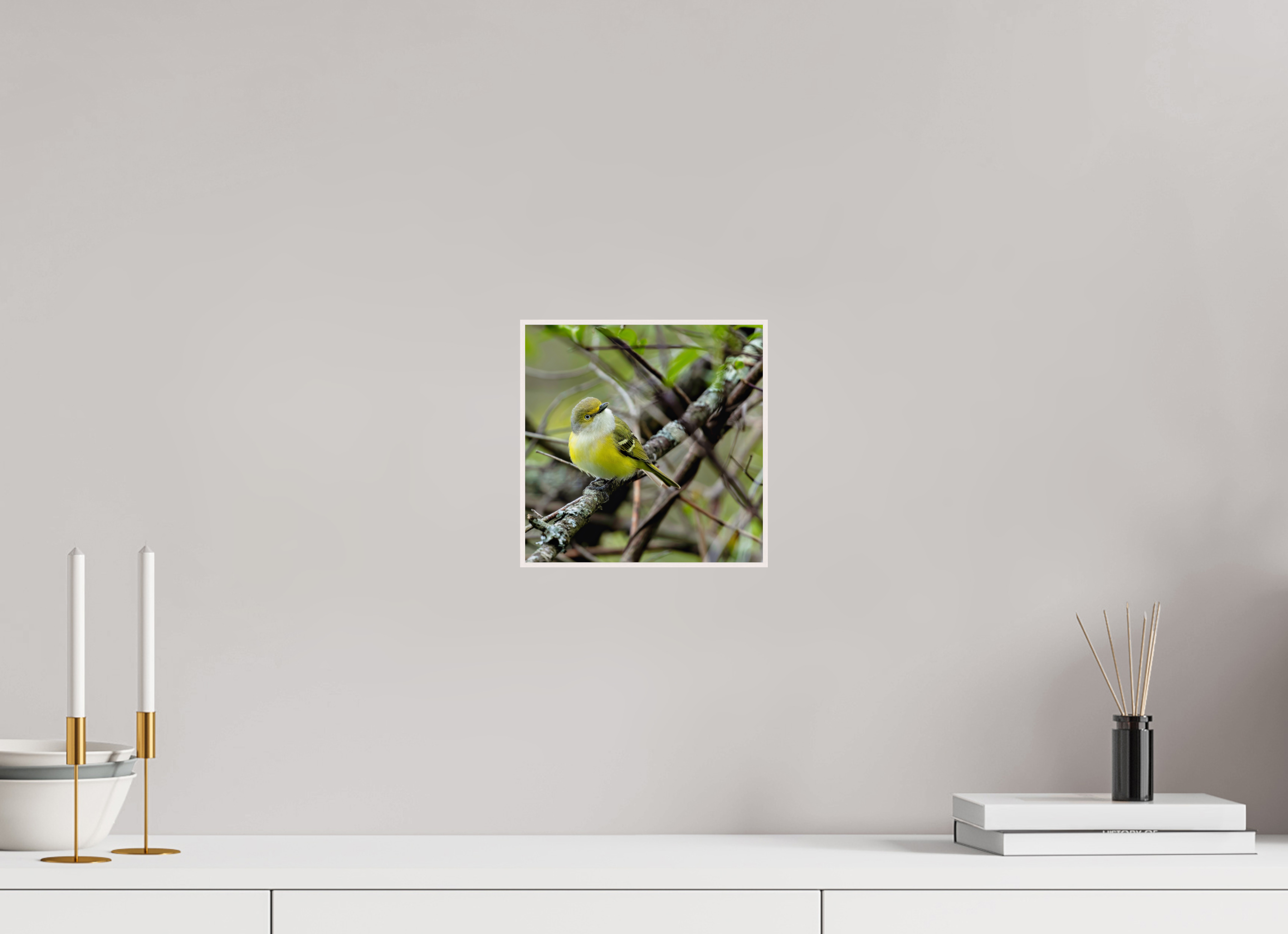 8 x 8″, Solid Wood ArtBox Bright-eyed and Bushy-tailed