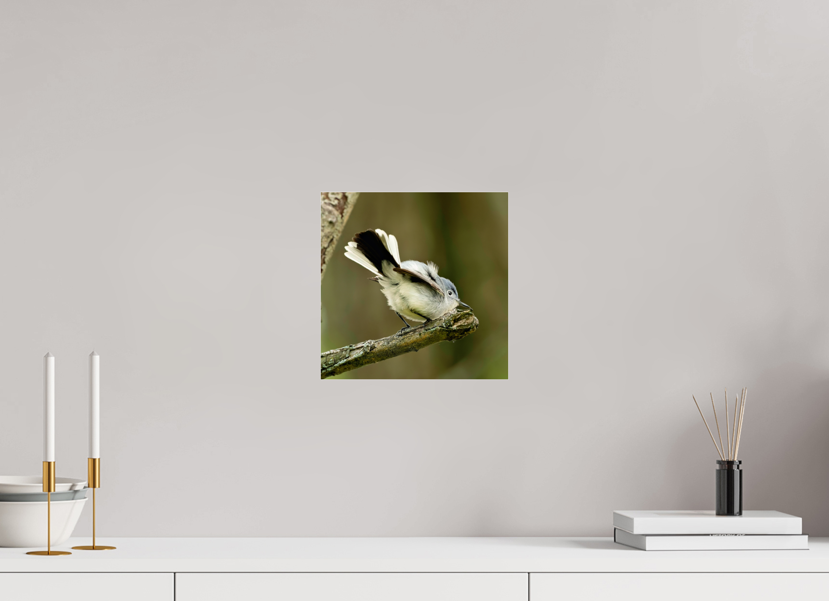 10 x 10″, Print Under Acrylic Glass Shake Your Tail Feathers!