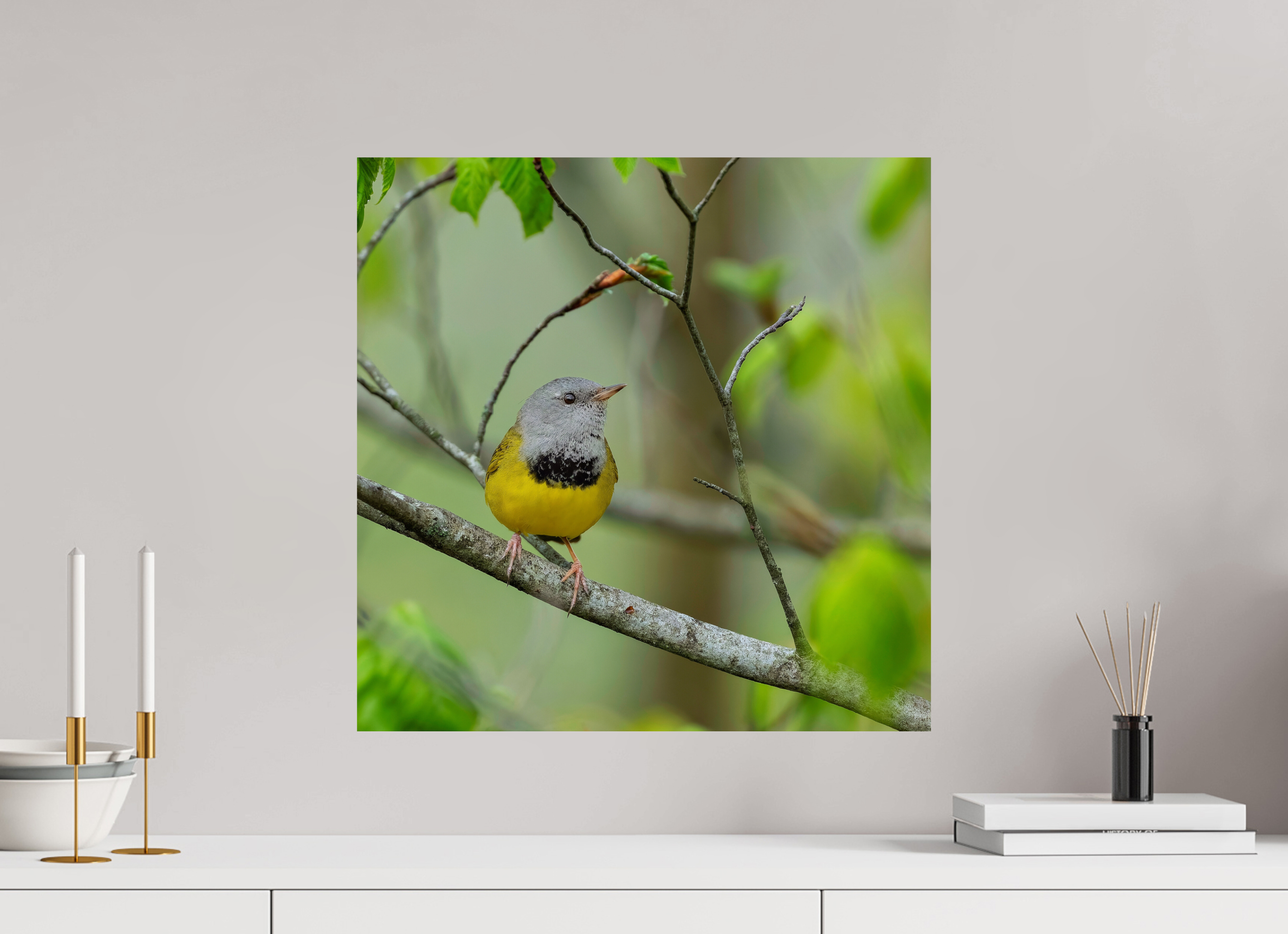 20 x 20″, Photo Print On Fuji Crystal DP II Good Mourning!