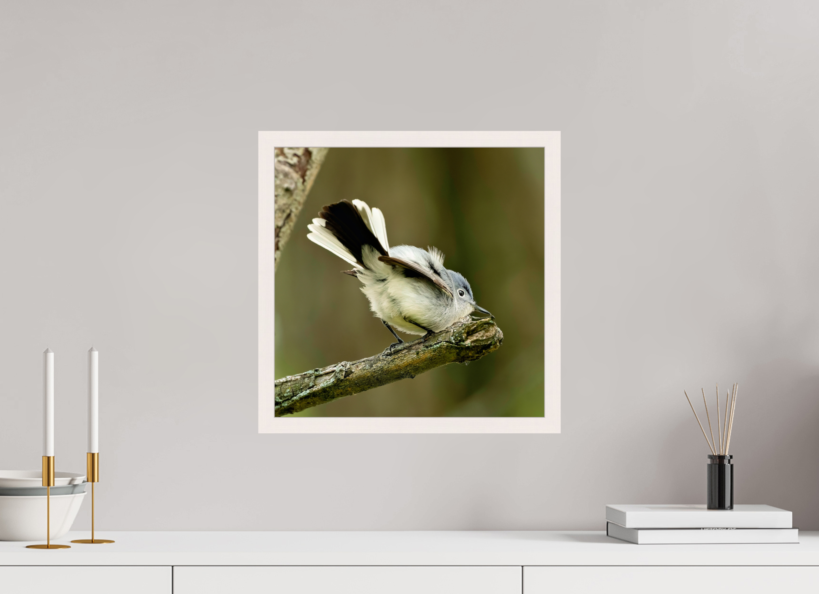 15 x 15″, Gallery Frame Shake Your Tail Feathers!