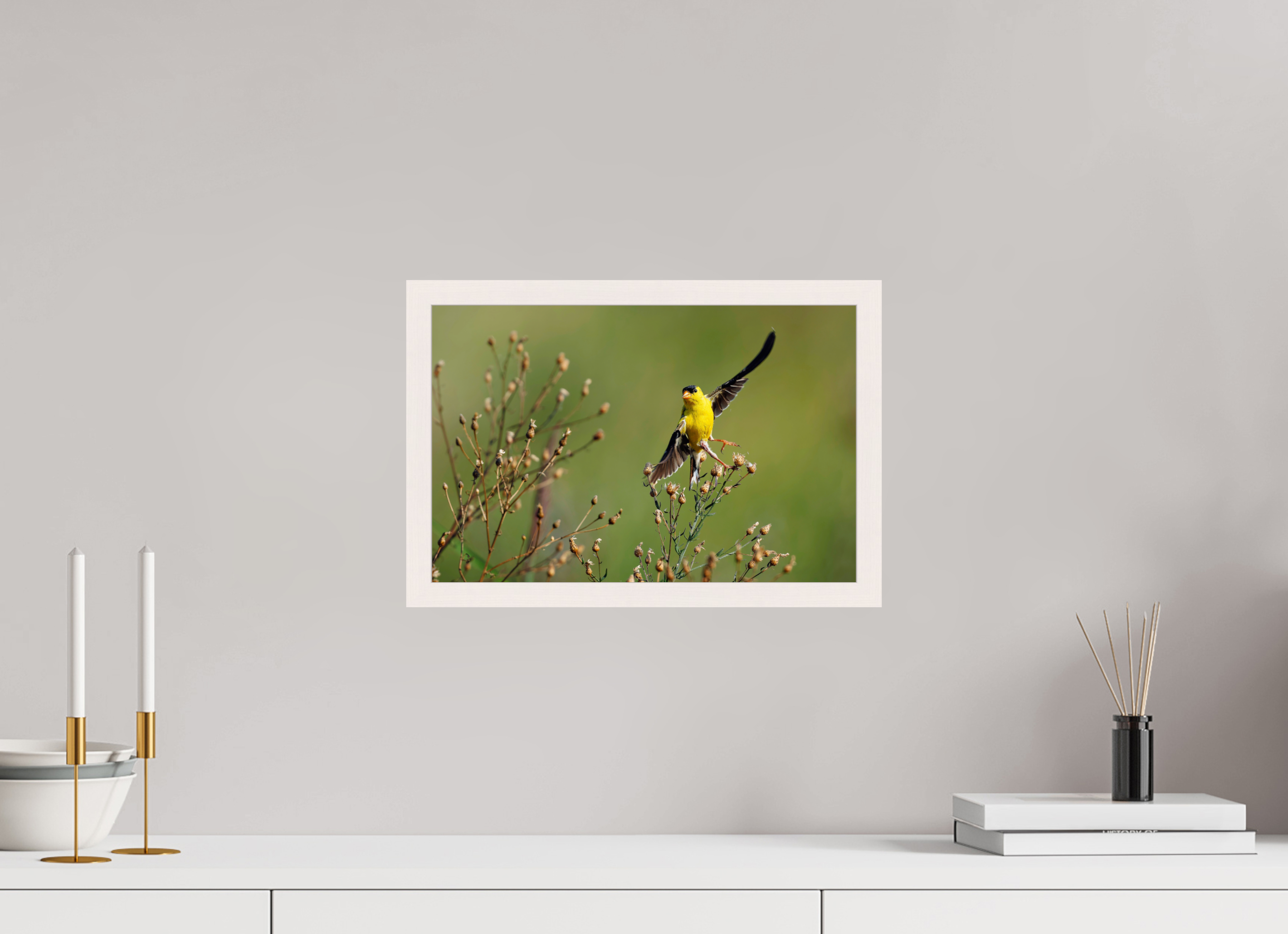 15 x 10″, Gallery Frame Goldie Takes Flight