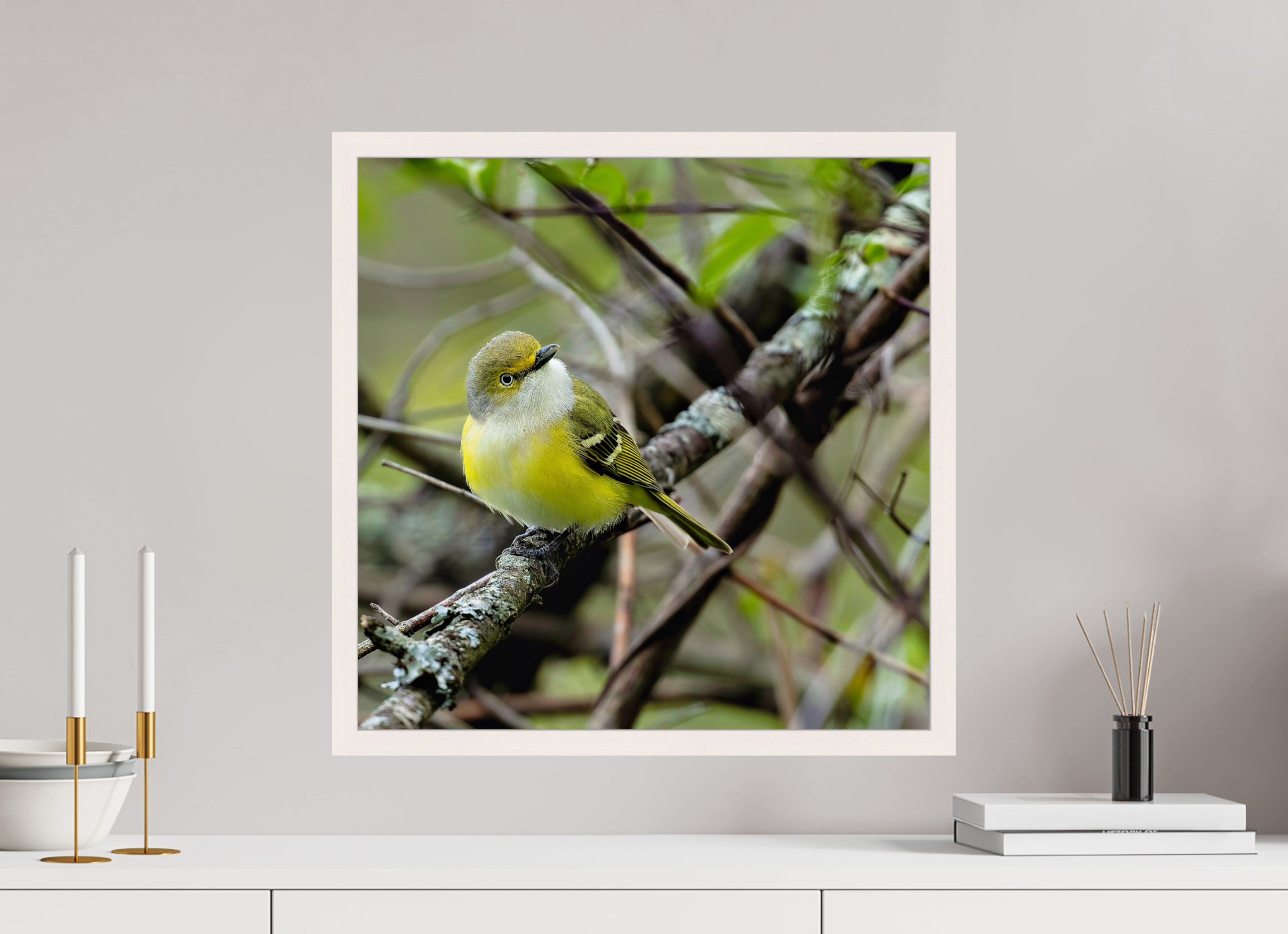 20 x 20″, Gallery Frame Bright-eyed and Bushy-tailed
