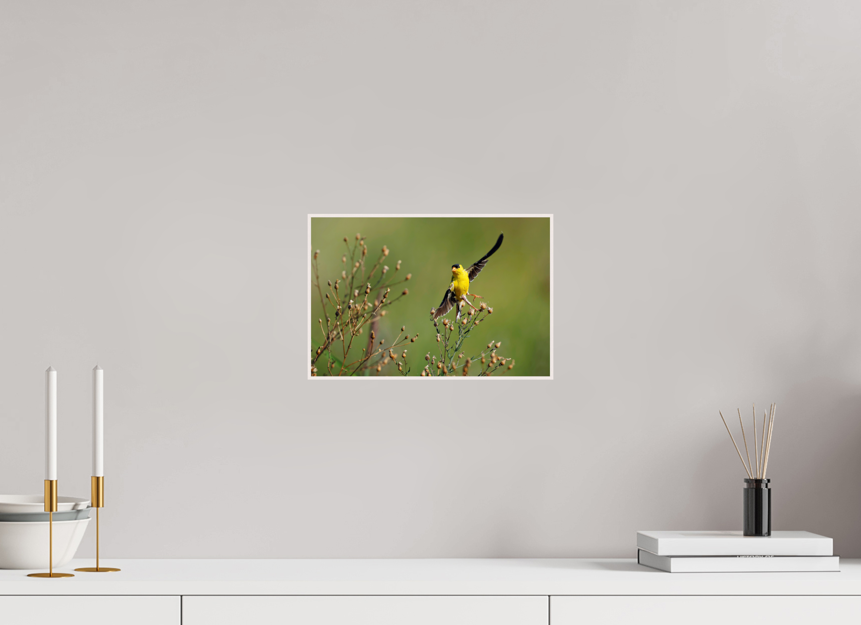 12 x 8″, Solid Wood ArtBox Goldie Takes Flight