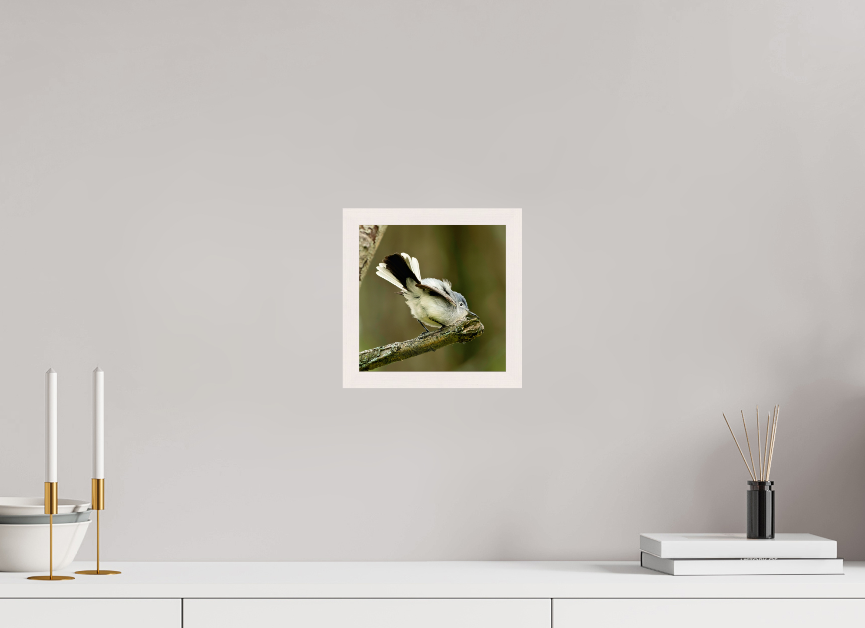 8 x 8″, Gallery Frame Shake Your Tail Feathers!