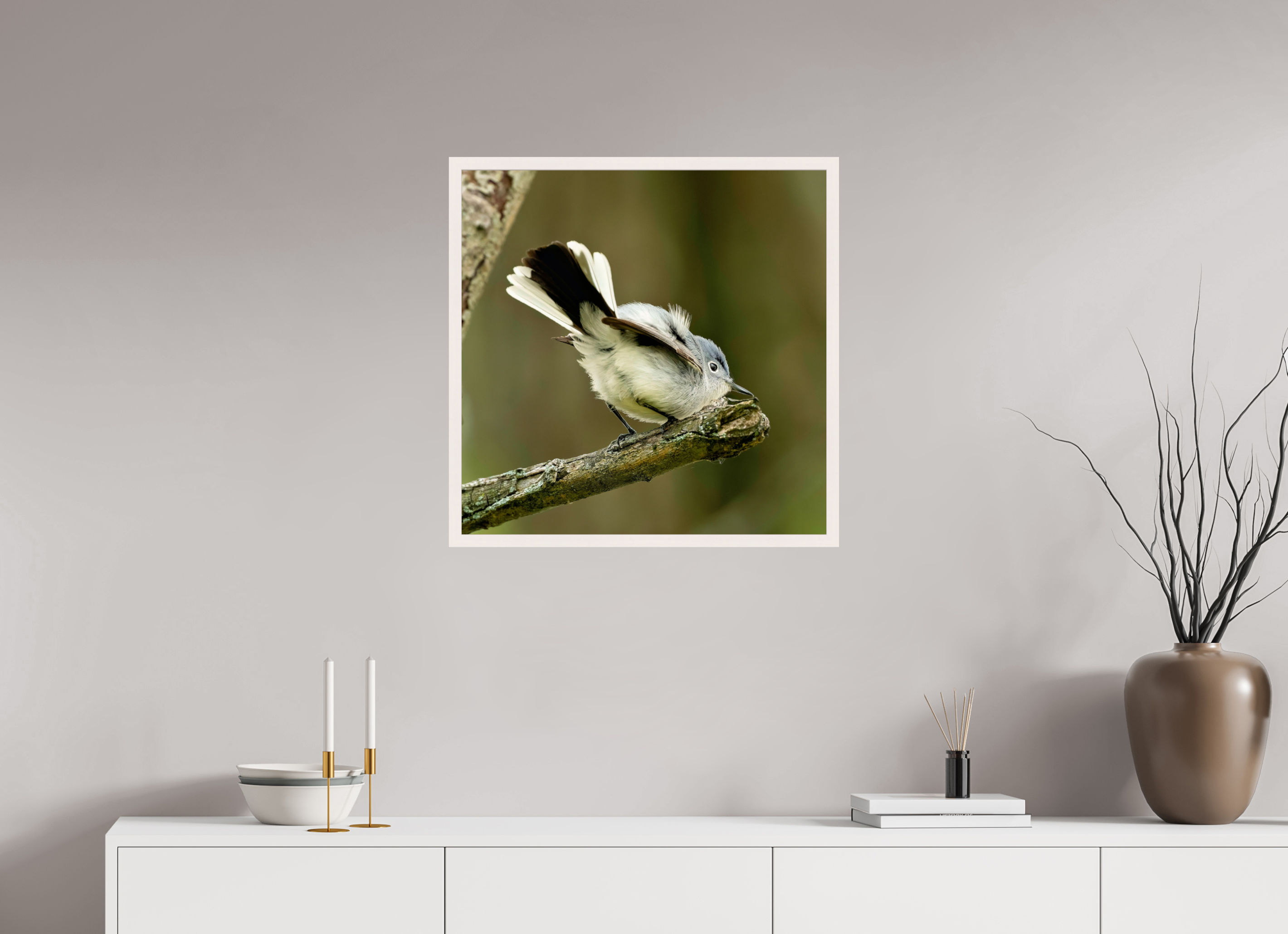 25 x 25″, Gallery Frame Shake Your Tail Feathers!