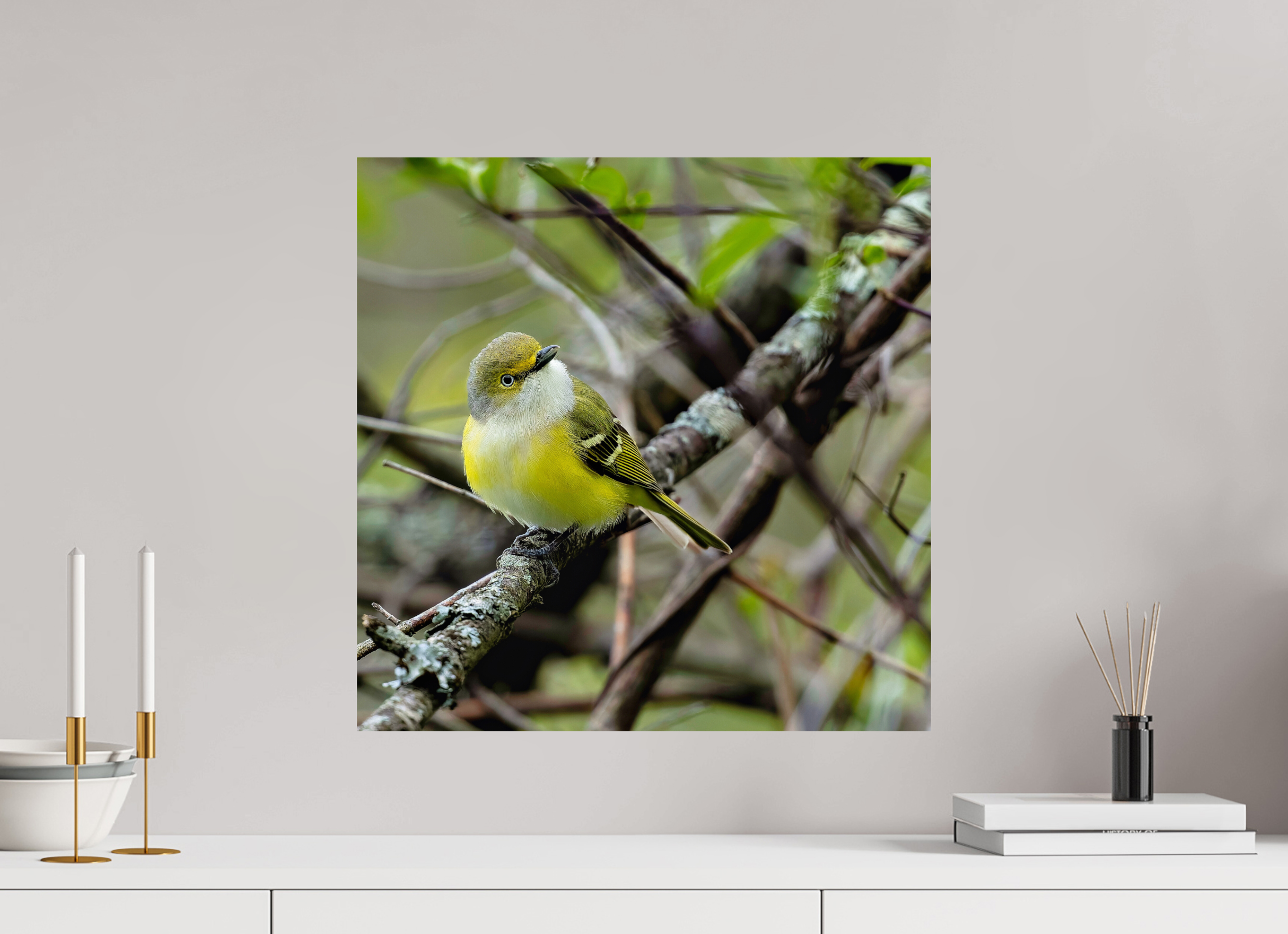 20 x 20″, Photo Print On Fuji Crystal DP II Bright-eyed and Bushy-tailed
