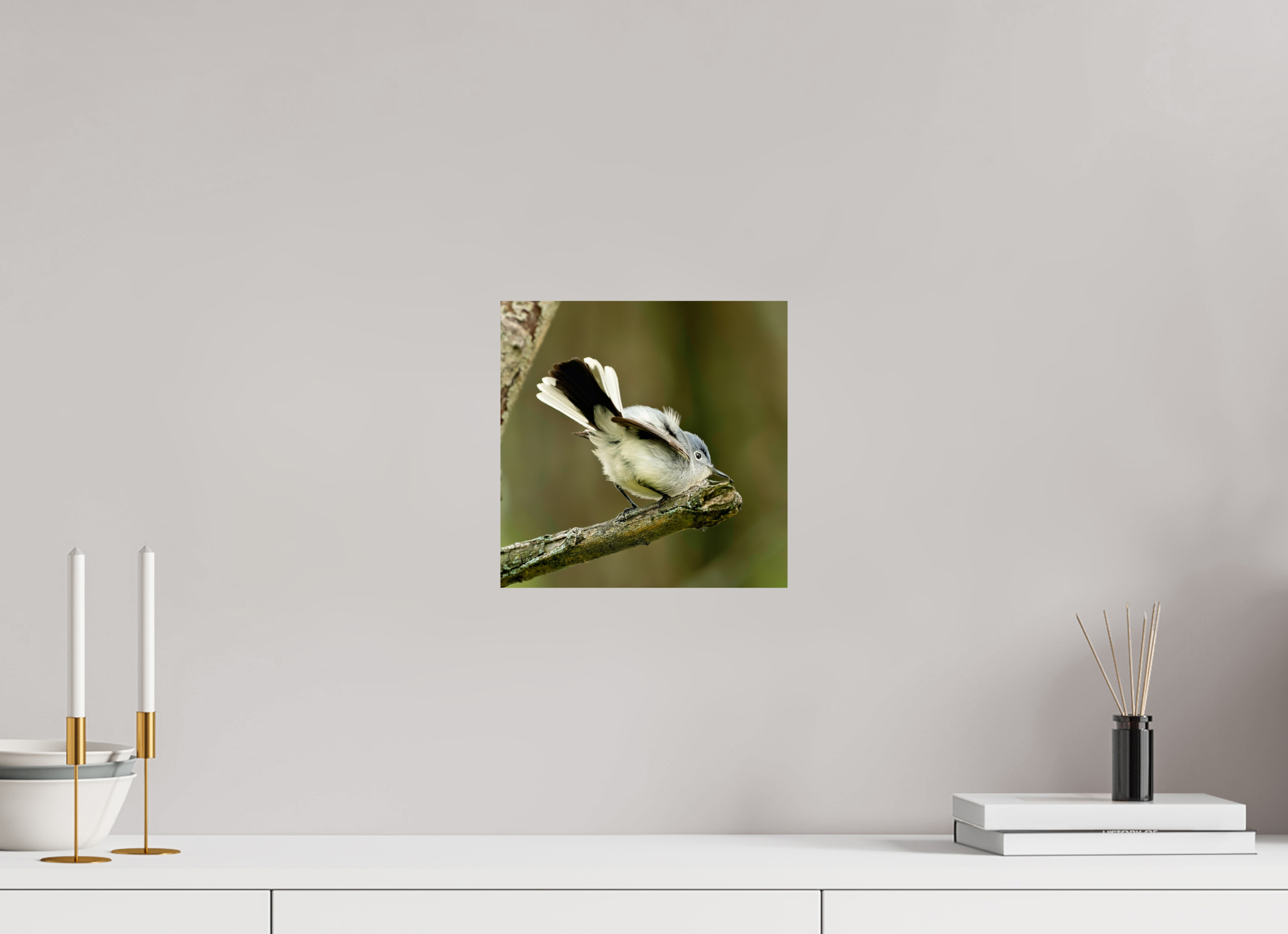 10 x 10″, Photo Print On Fuji Crystal DP II Shake Your Tail Feathers!