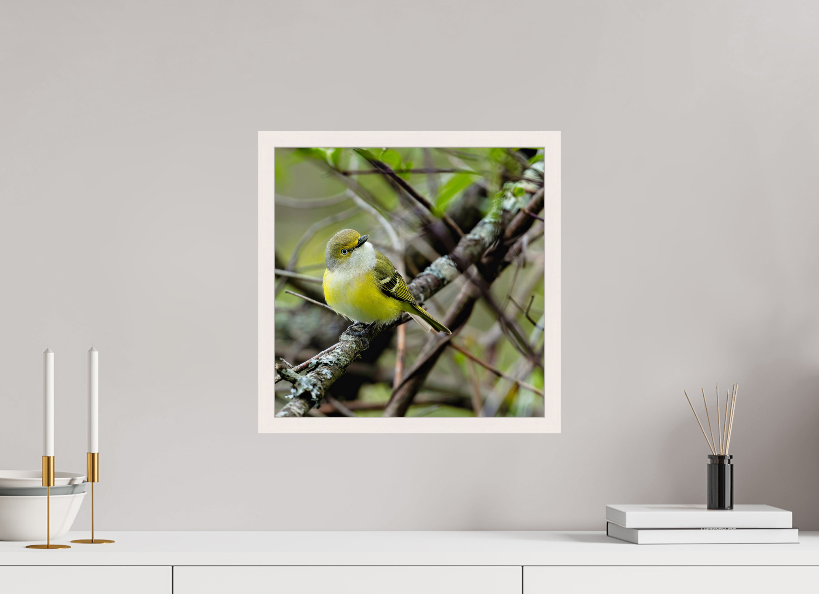 15 x 15″, Gallery Frame Bright-eyed and Bushy-tailed