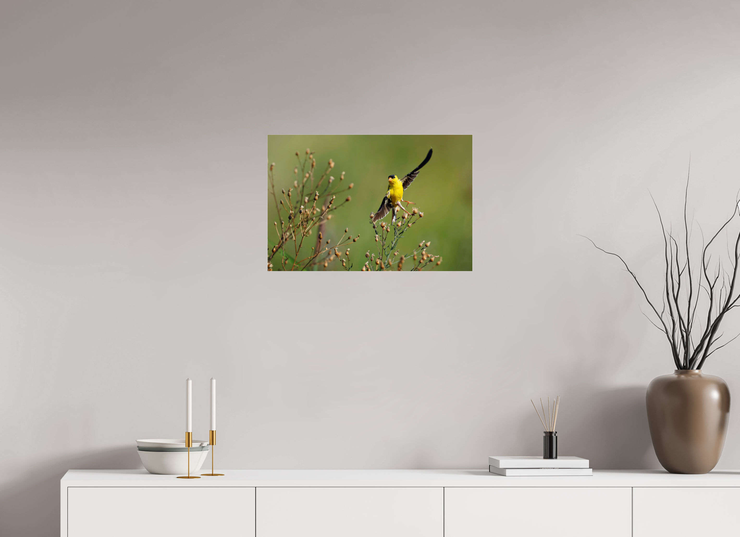 24 x 16″, Print Under Acrylic Glass Goldie Takes Flight