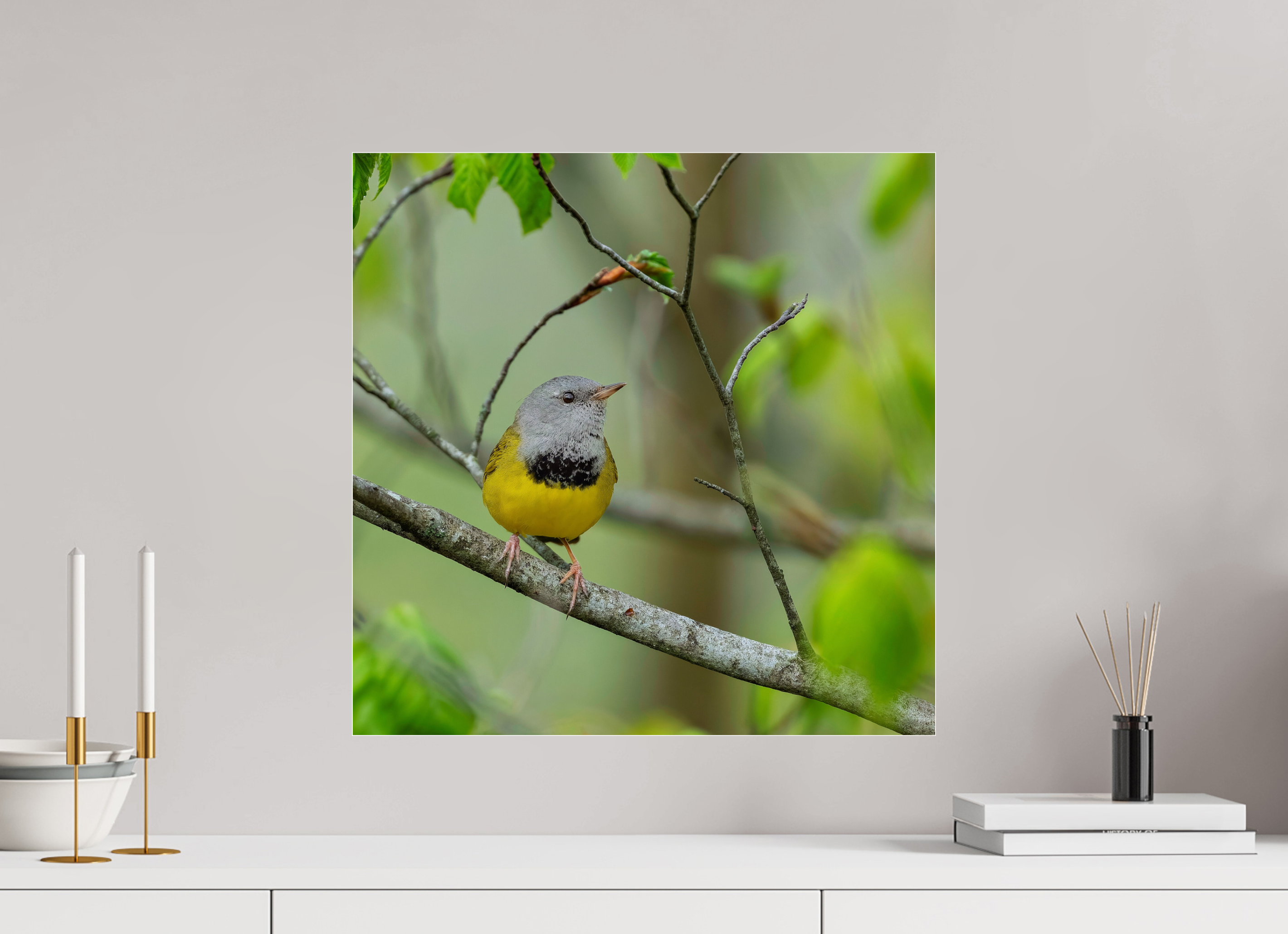 20 x 20″, Print Under Acrylic Glass Good Mourning!
