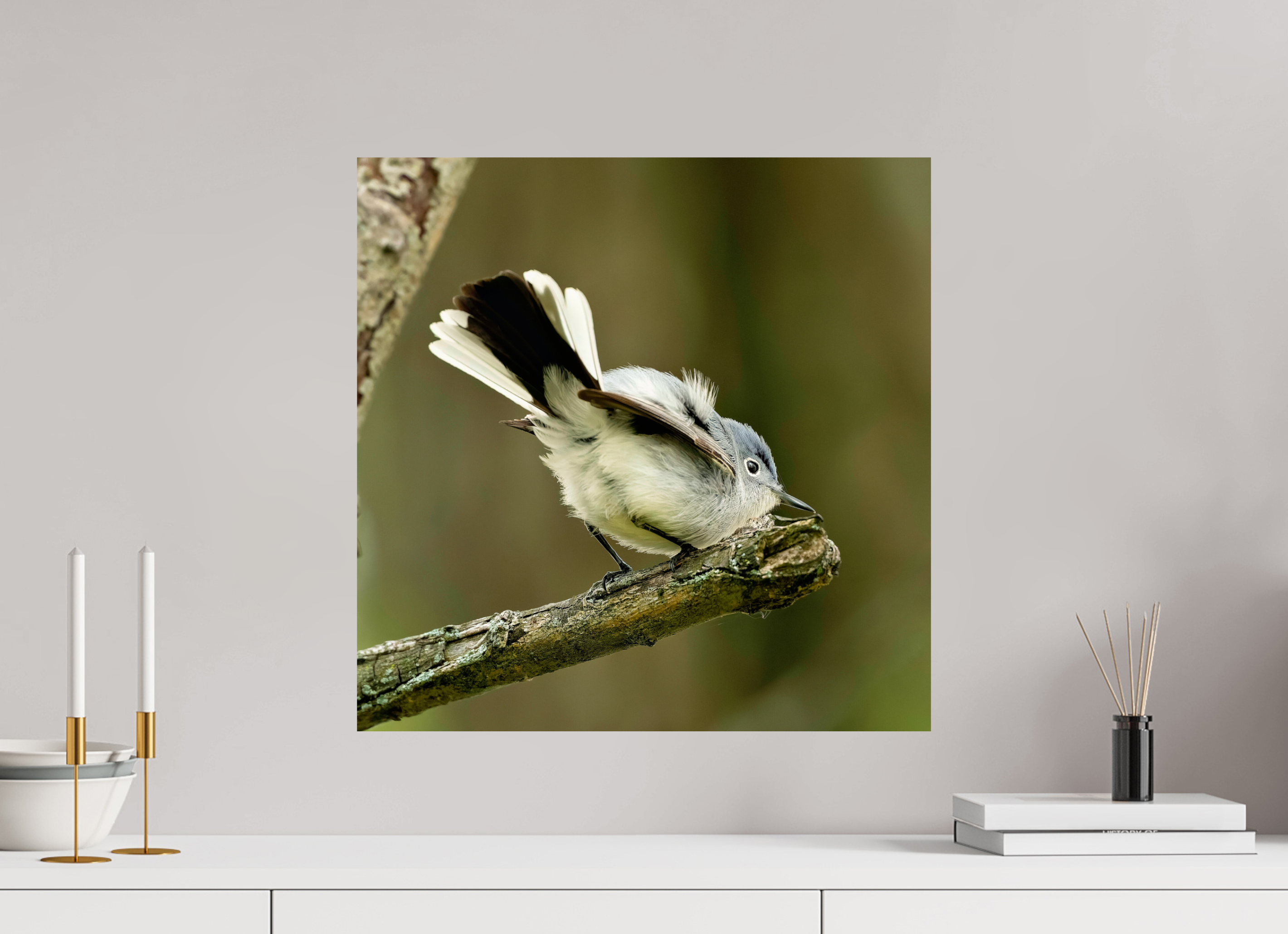 20 x 20″, Photo Print On Fuji Crystal DP II Shake Your Tail Feathers!