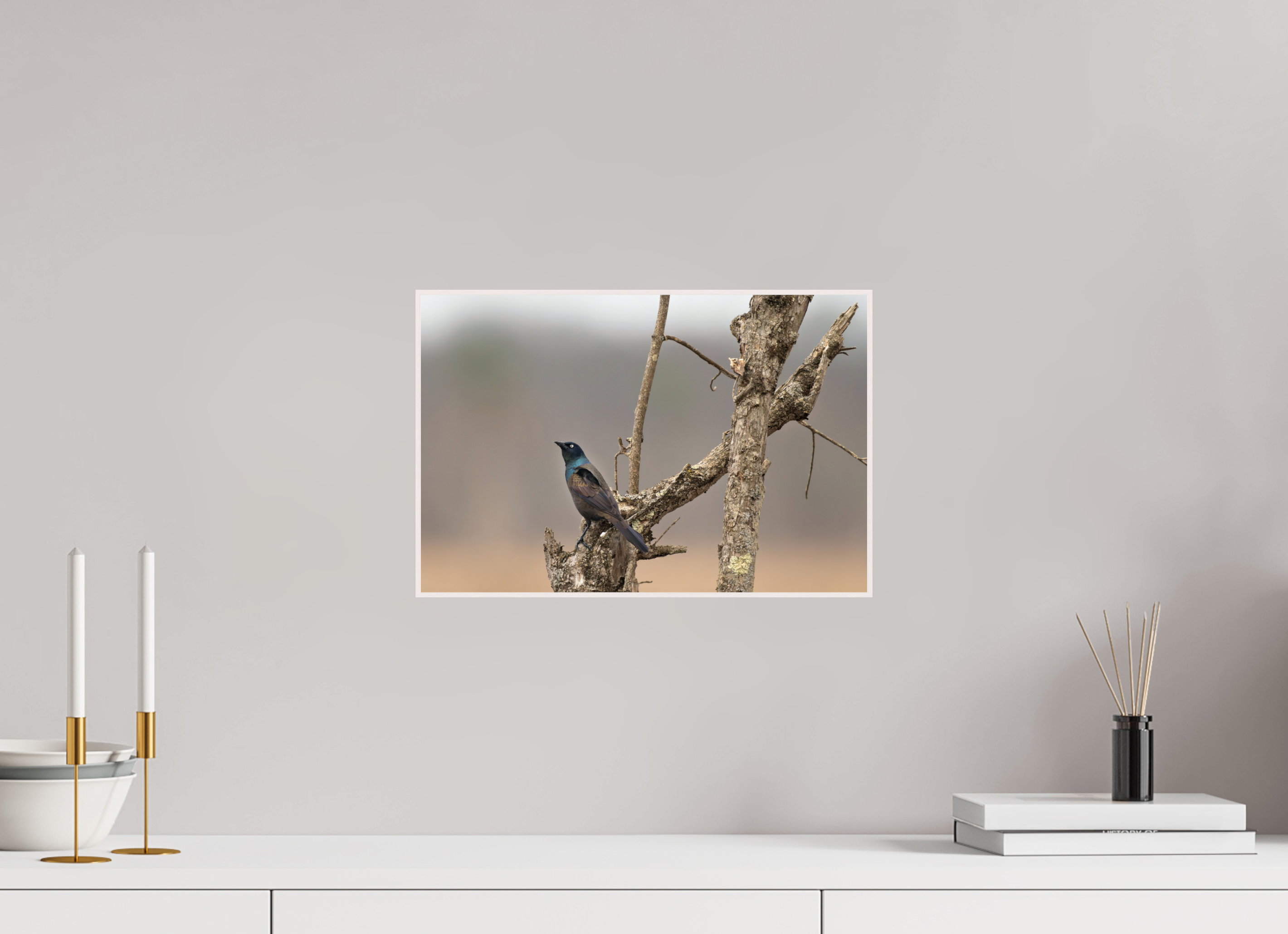 15 x 10″, Solid Wood ArtBox Frame Nothing Common About a Common Grackle!
