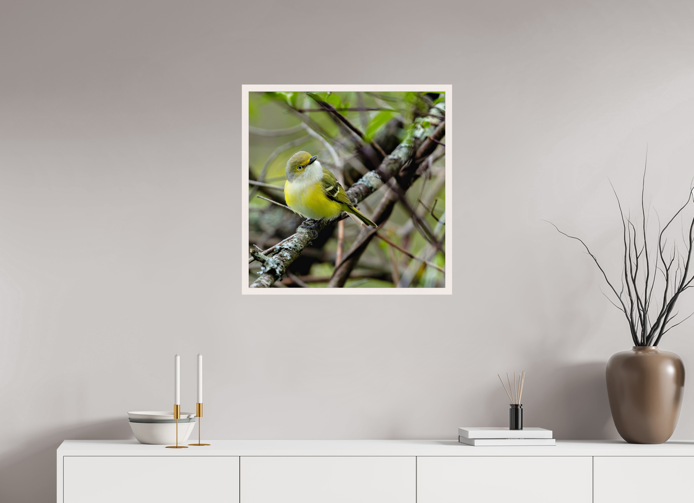 25 x 25″, Gallery Frame Bright-eyed and Bushy-tailed