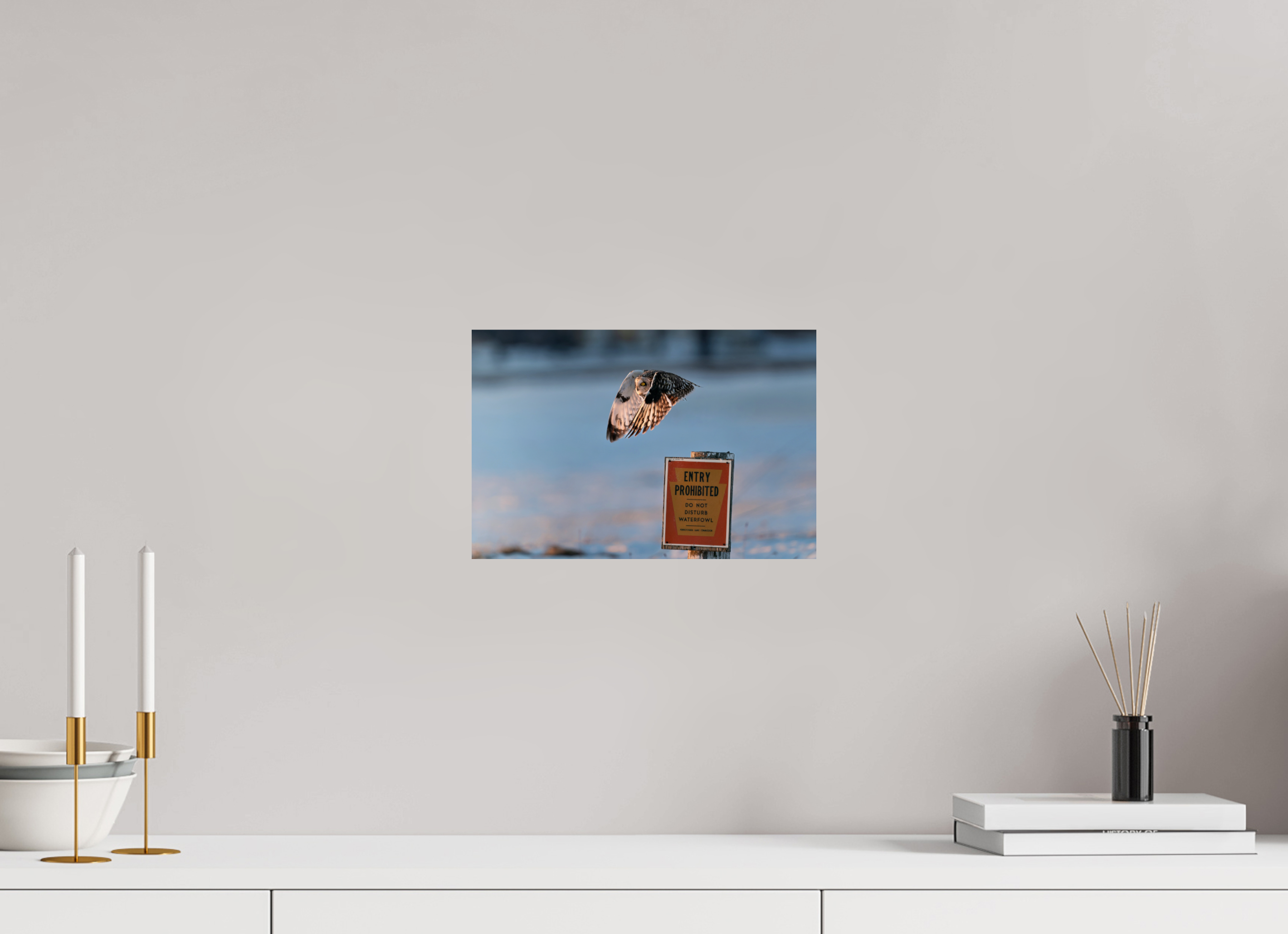 12 x 8″, Photo Print On Fuji Crystal DP II Entry Prohibited