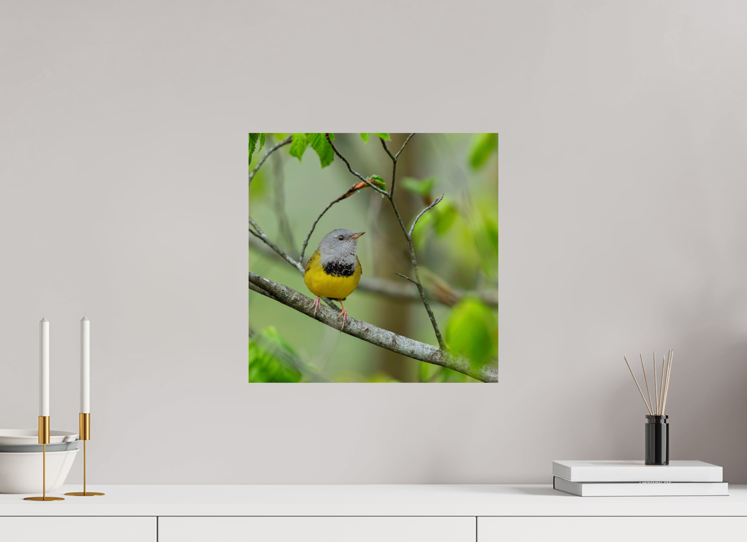 15 x 15″, Photo Print On Fuji Crystal DP II Good Mourning!