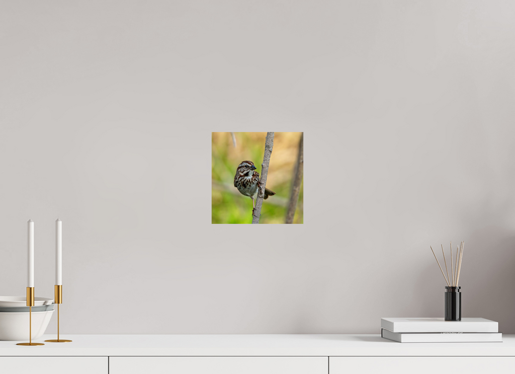 8 x 8″, Photo Print On Fuji Crystal DP II Song-sational!