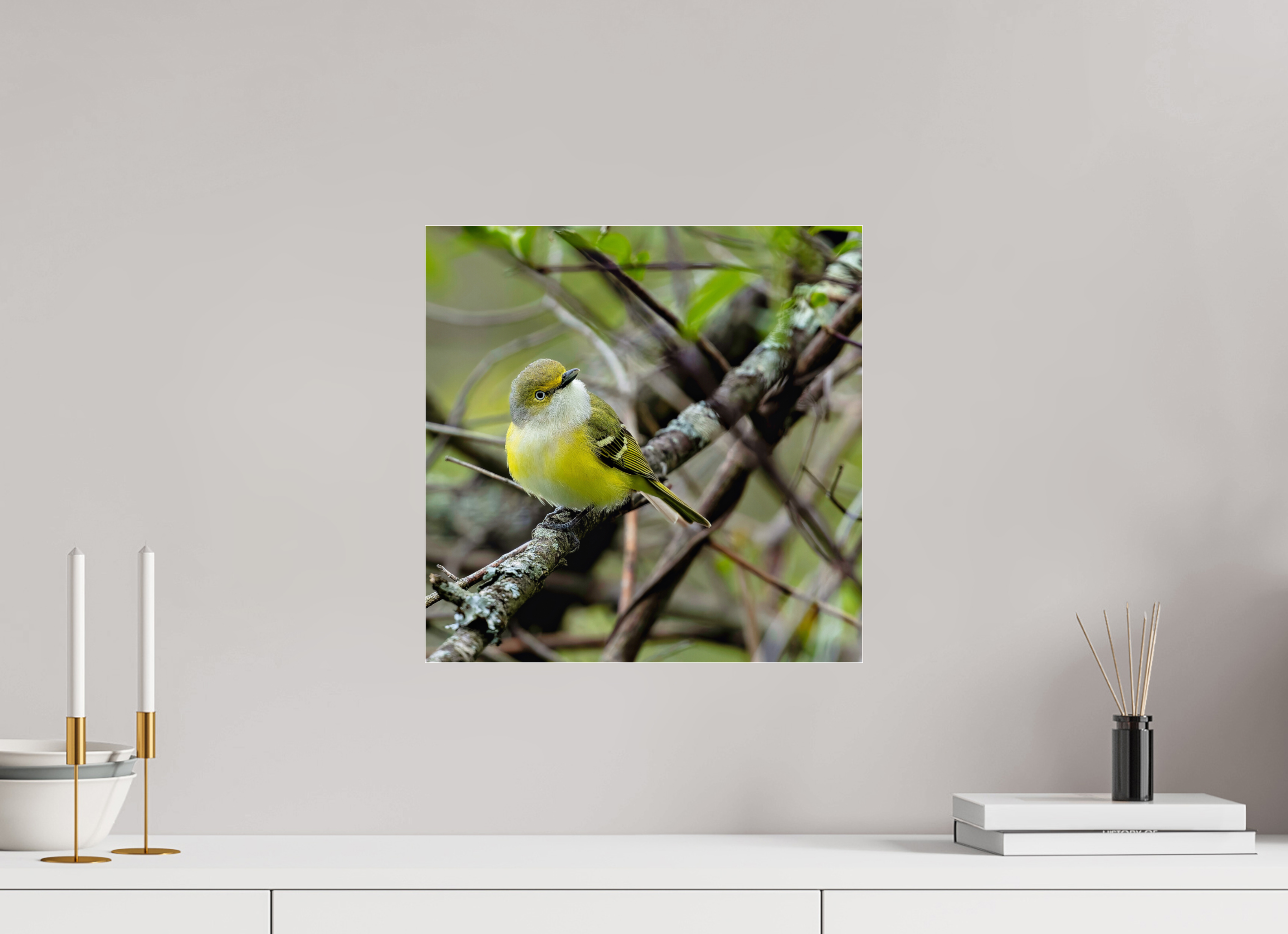 15 x 15″, Photo Print Under Acrylic Glass Bright-eyed and Bushy-tailed