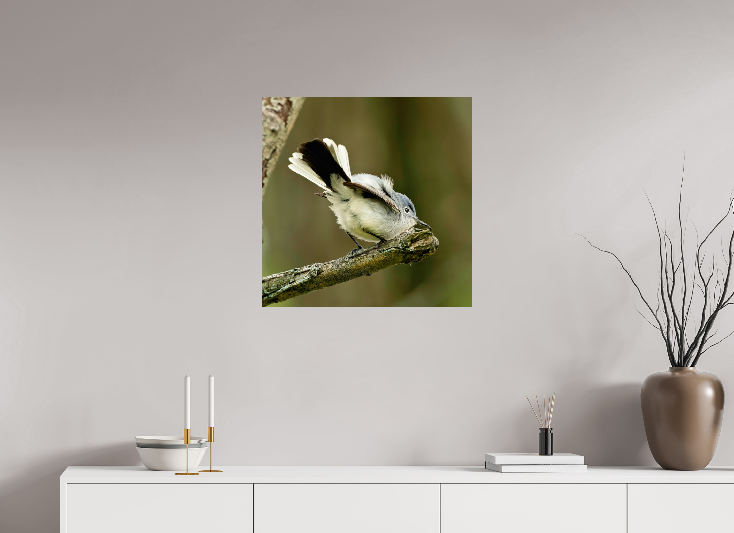25 x 25″, Photo Print On Fuji Crystal DP II Shake Your Tail Feathers!