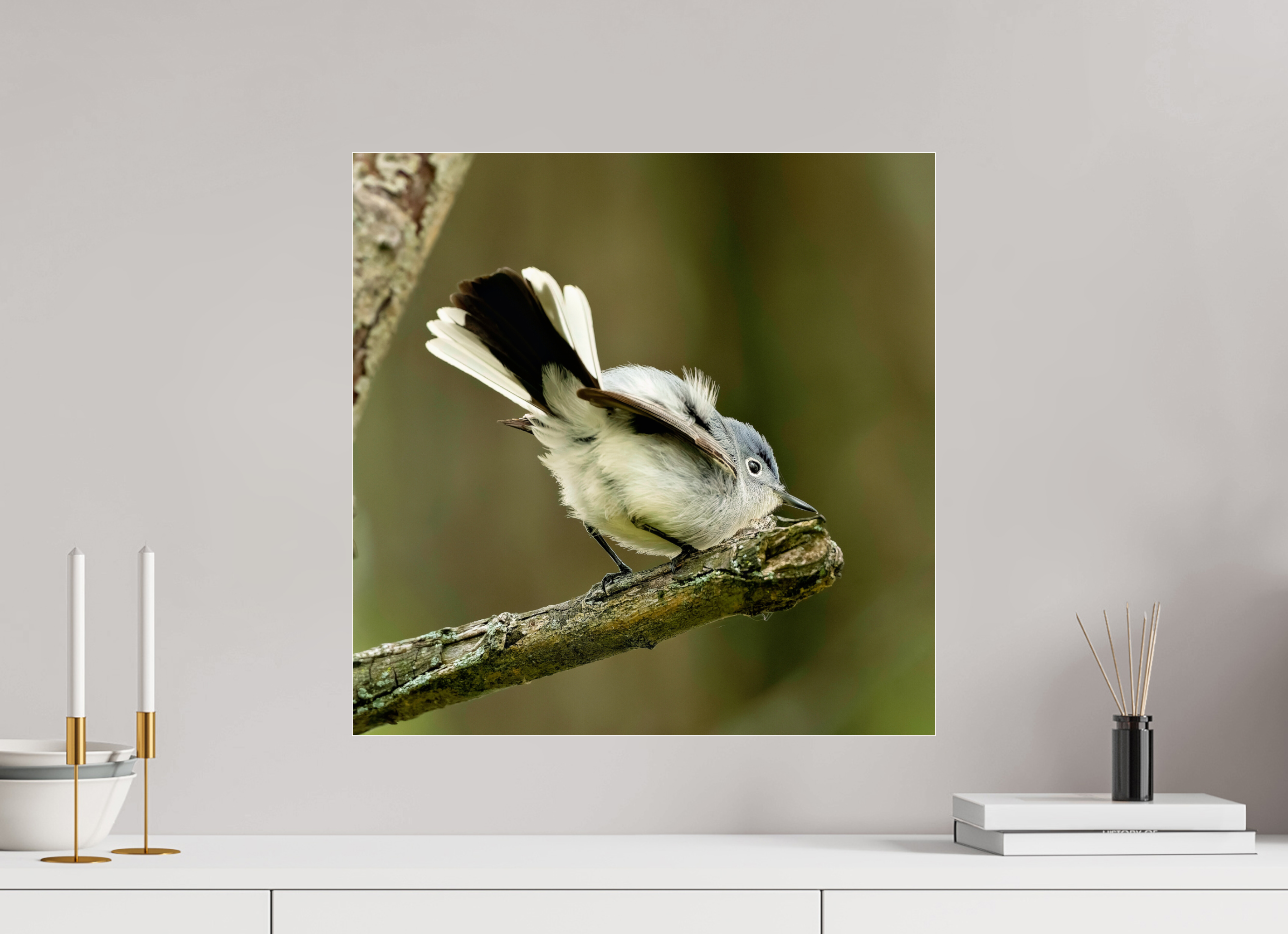 20 x 20″, Print Under Acrylic Glass Shake Your Tail Feathers!