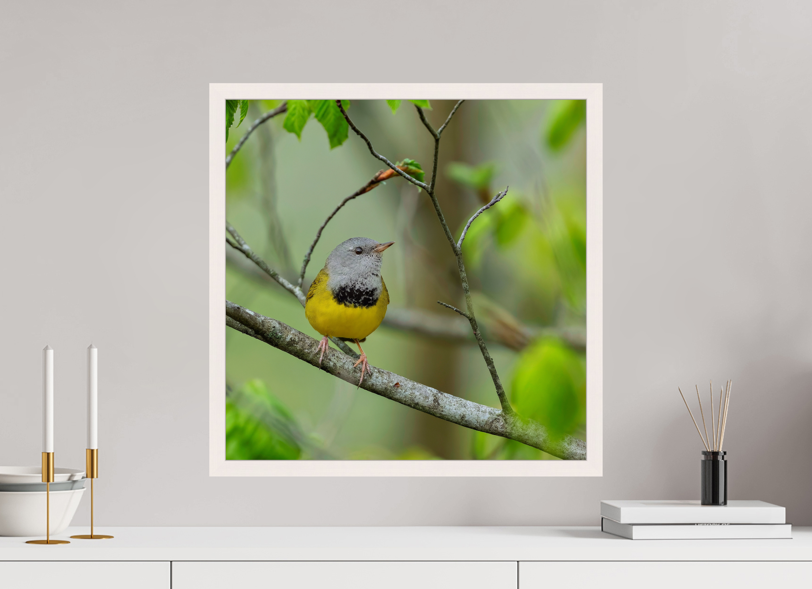 20 x 20″, Gallery Frame Good Mourning!