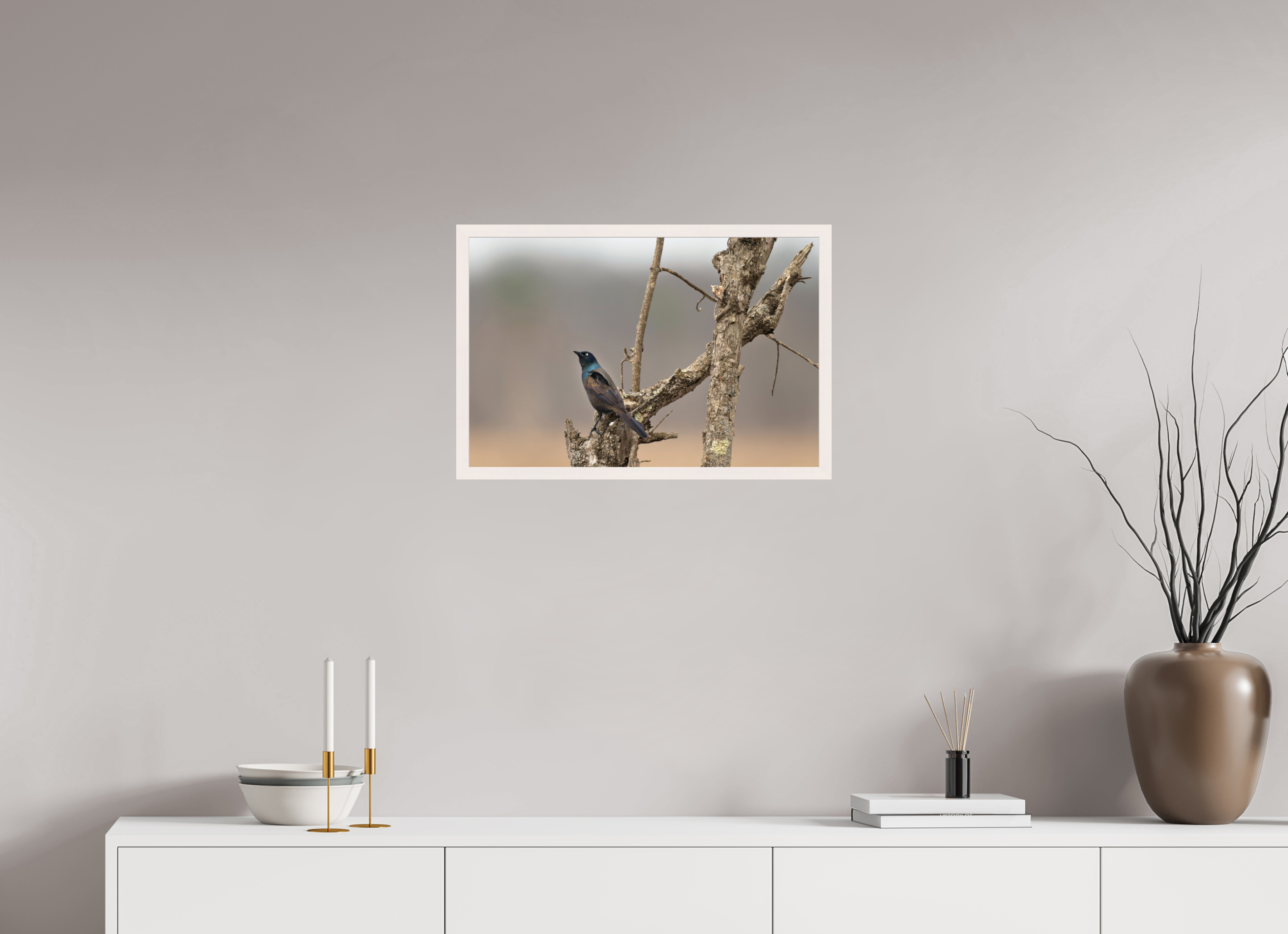 24 x 16″, Gallery Frame Nothing Common About a Common Grackle!