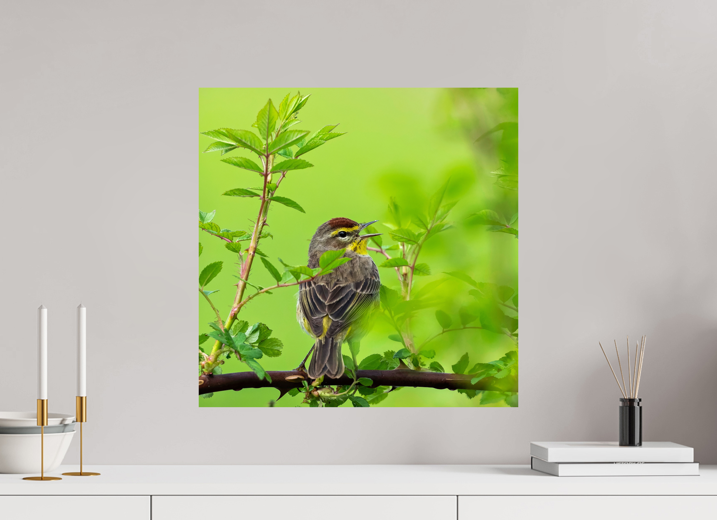 20 x 20″, Photo Print On Fuji Crystal DP II Palm in the Roses