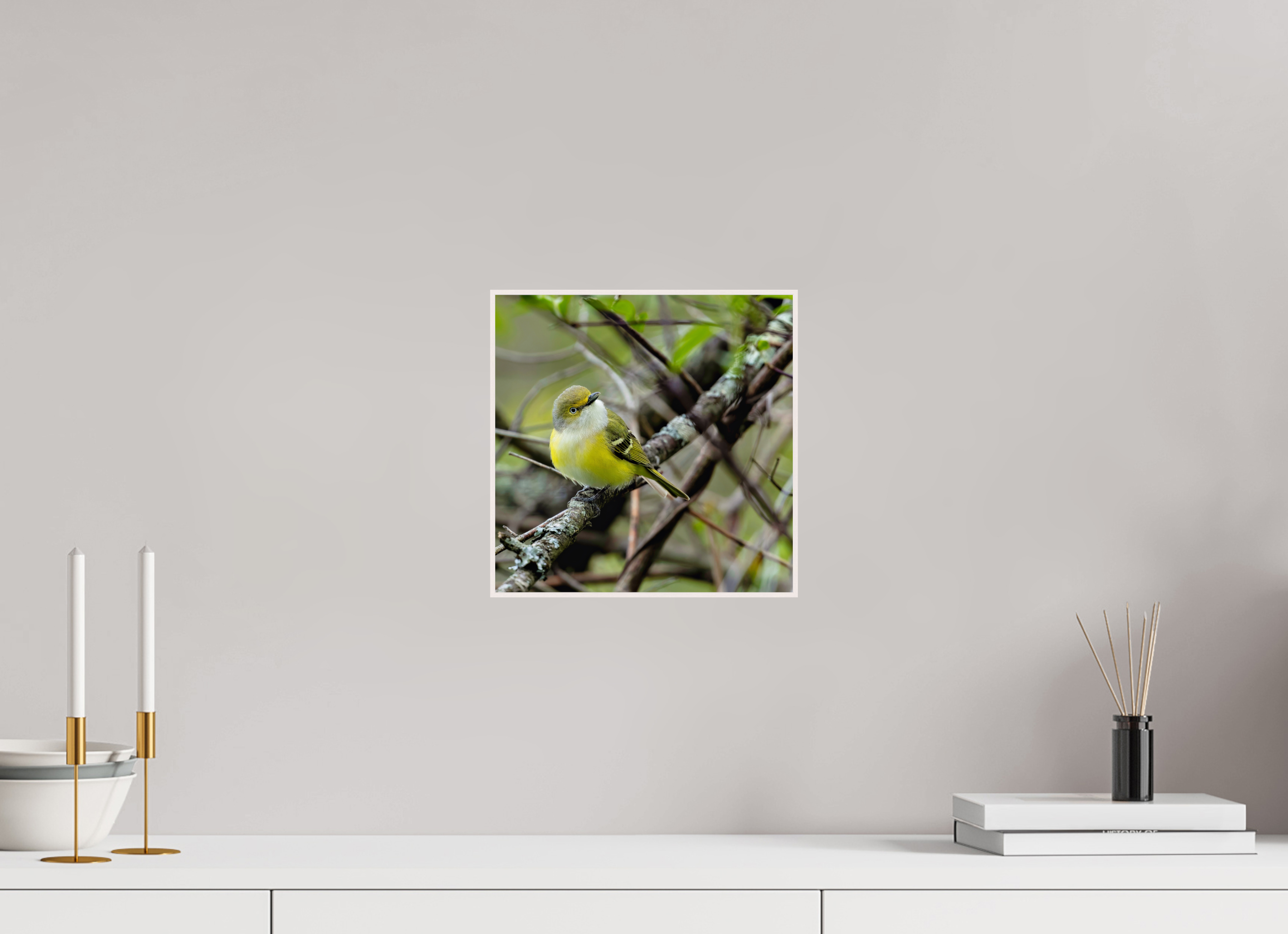 10 x 10″, Solid Wood ArtBox Bright-eyed and Bushy-tailed