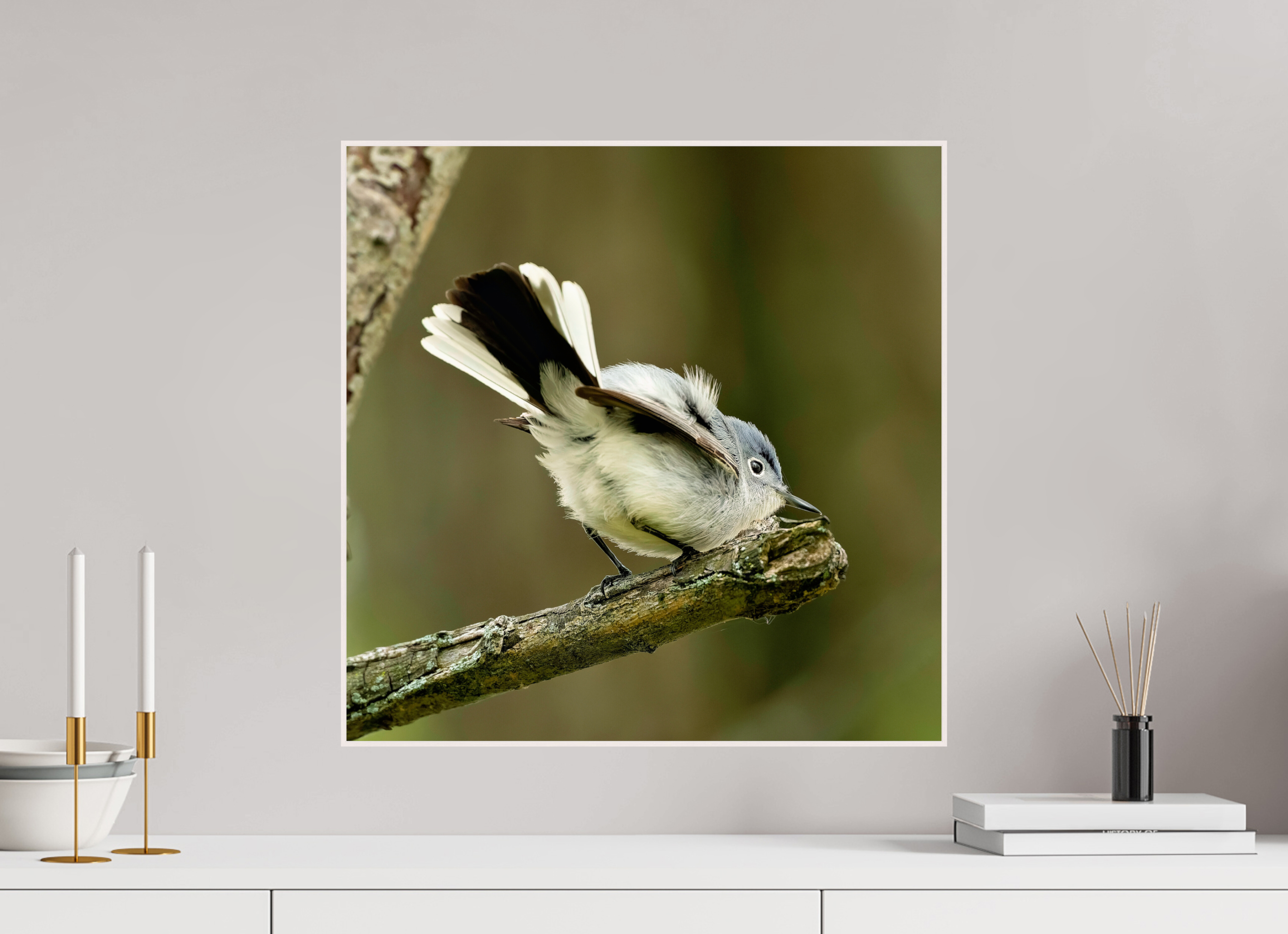 20 x 20″, Solid Wood ArtBox Shake Your Tail Feathers!