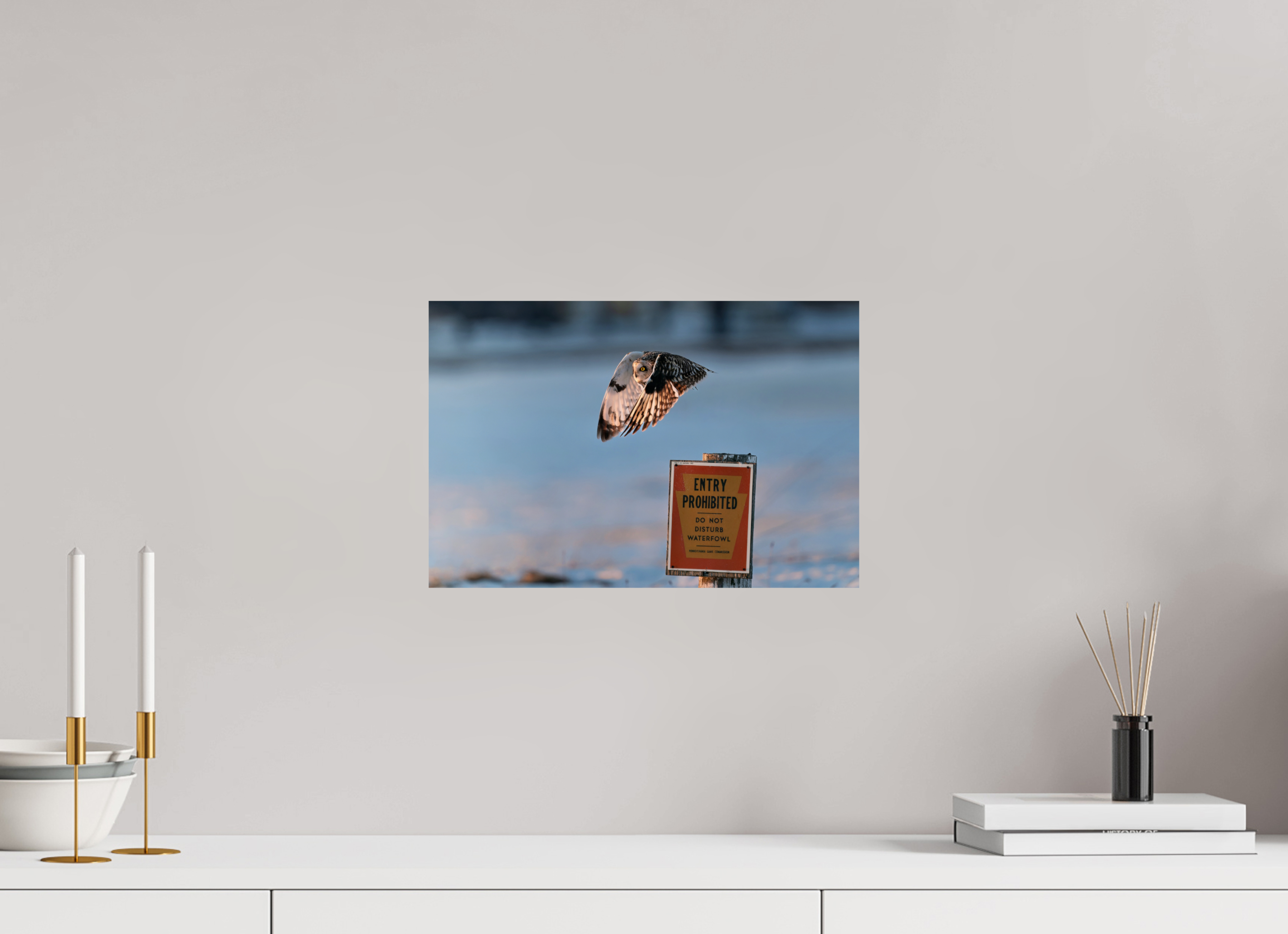 15 x 10″, Photo Print On Fuji Crystal DP II Entry Prohibited