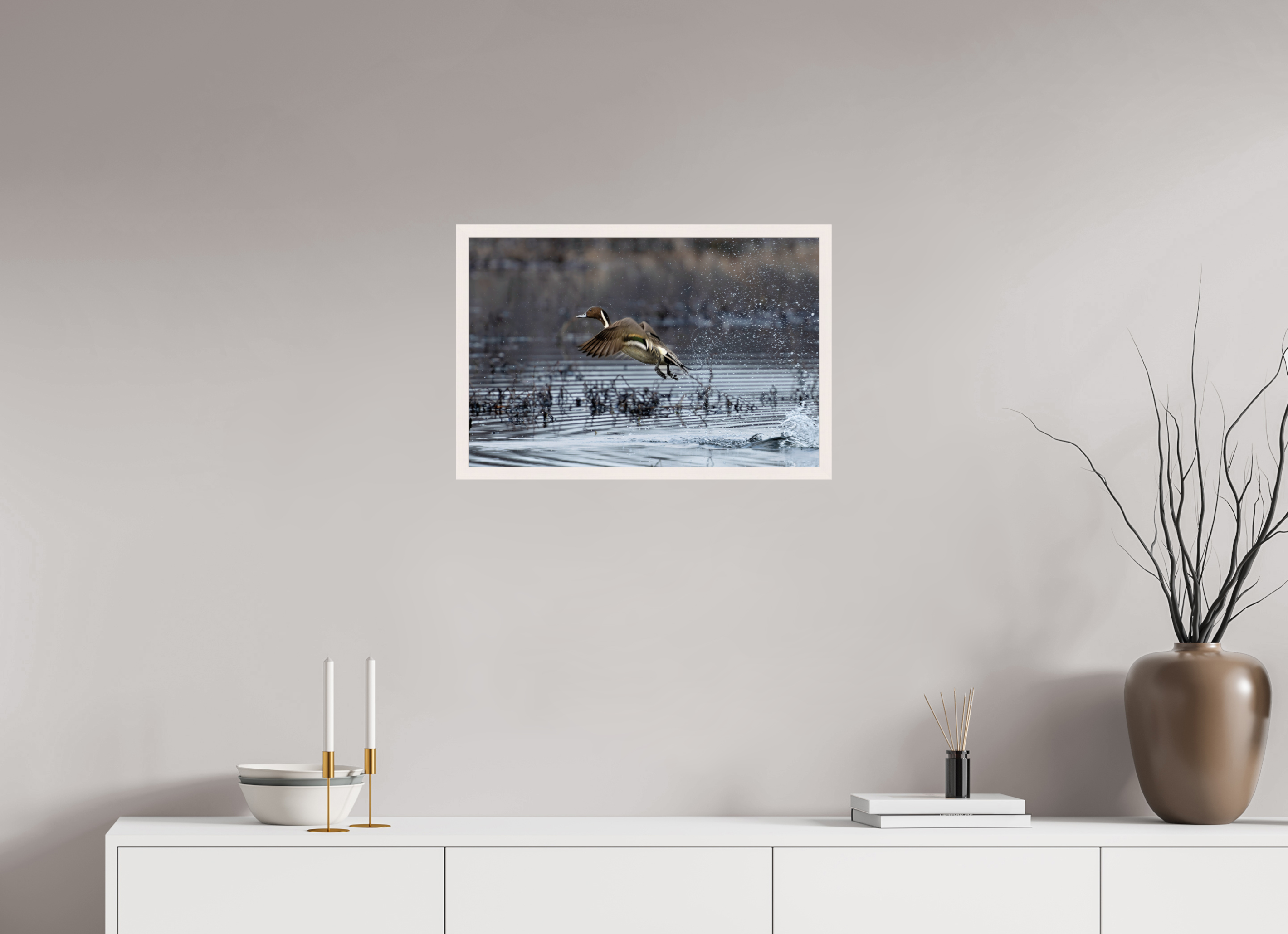 24 x 16″, Gallery Frame Pintail Making His Point