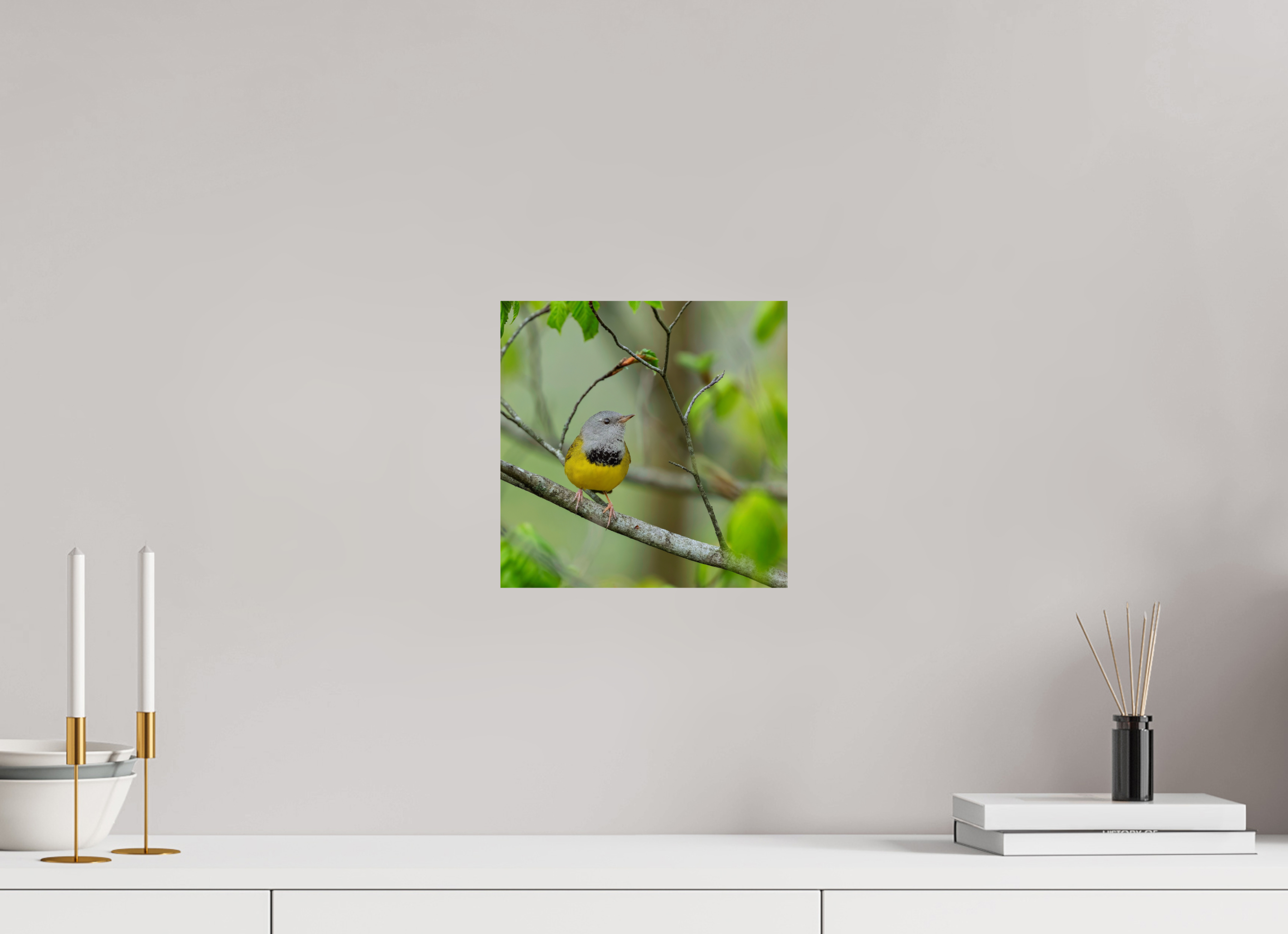 10 x 10″, Photo Print On Fuji Crystal DP II Good Mourning!