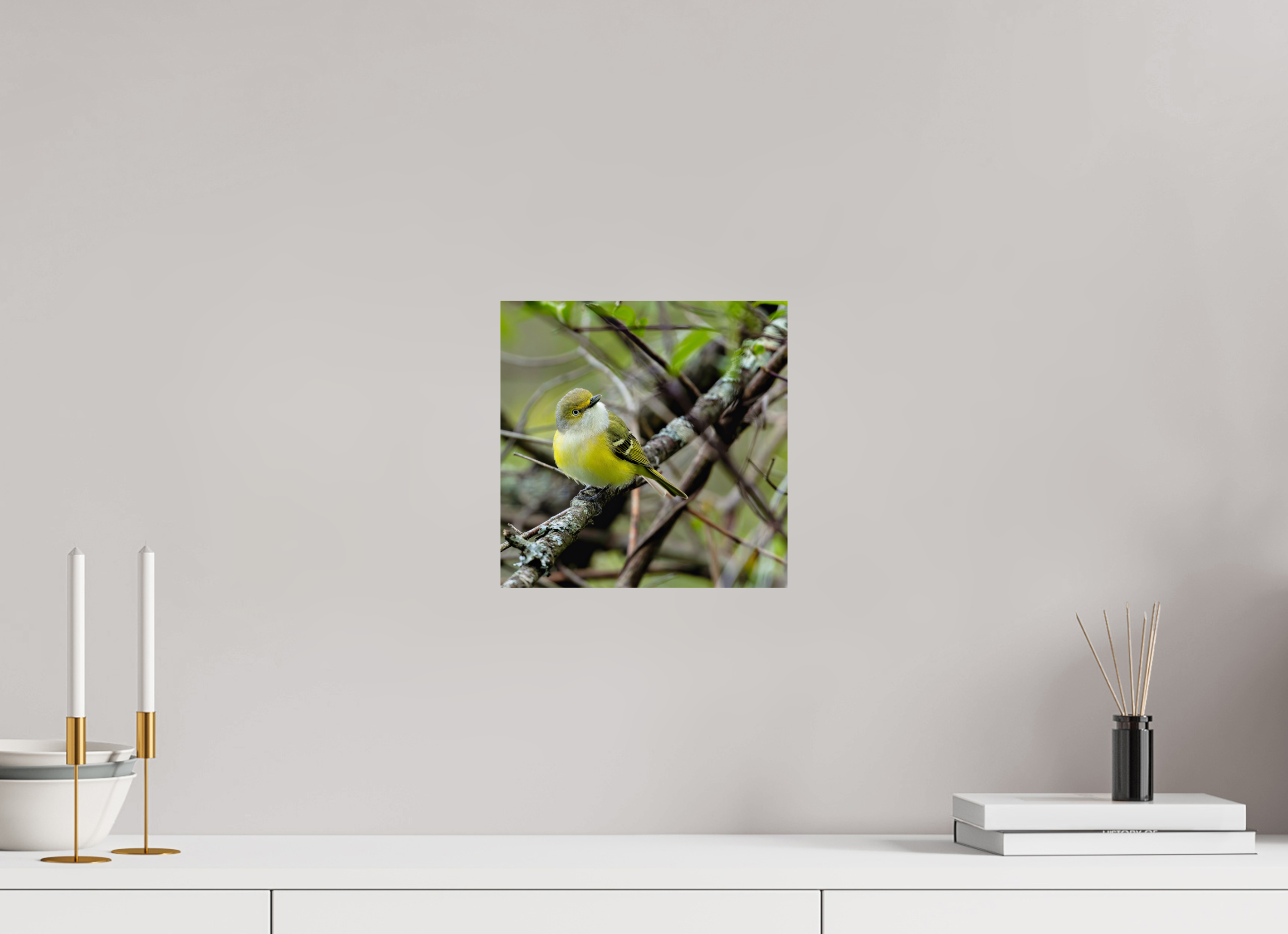 10 x 10″, Photo Print On Fuji Crystal DP II Bright-eyed and Bushy-tailed