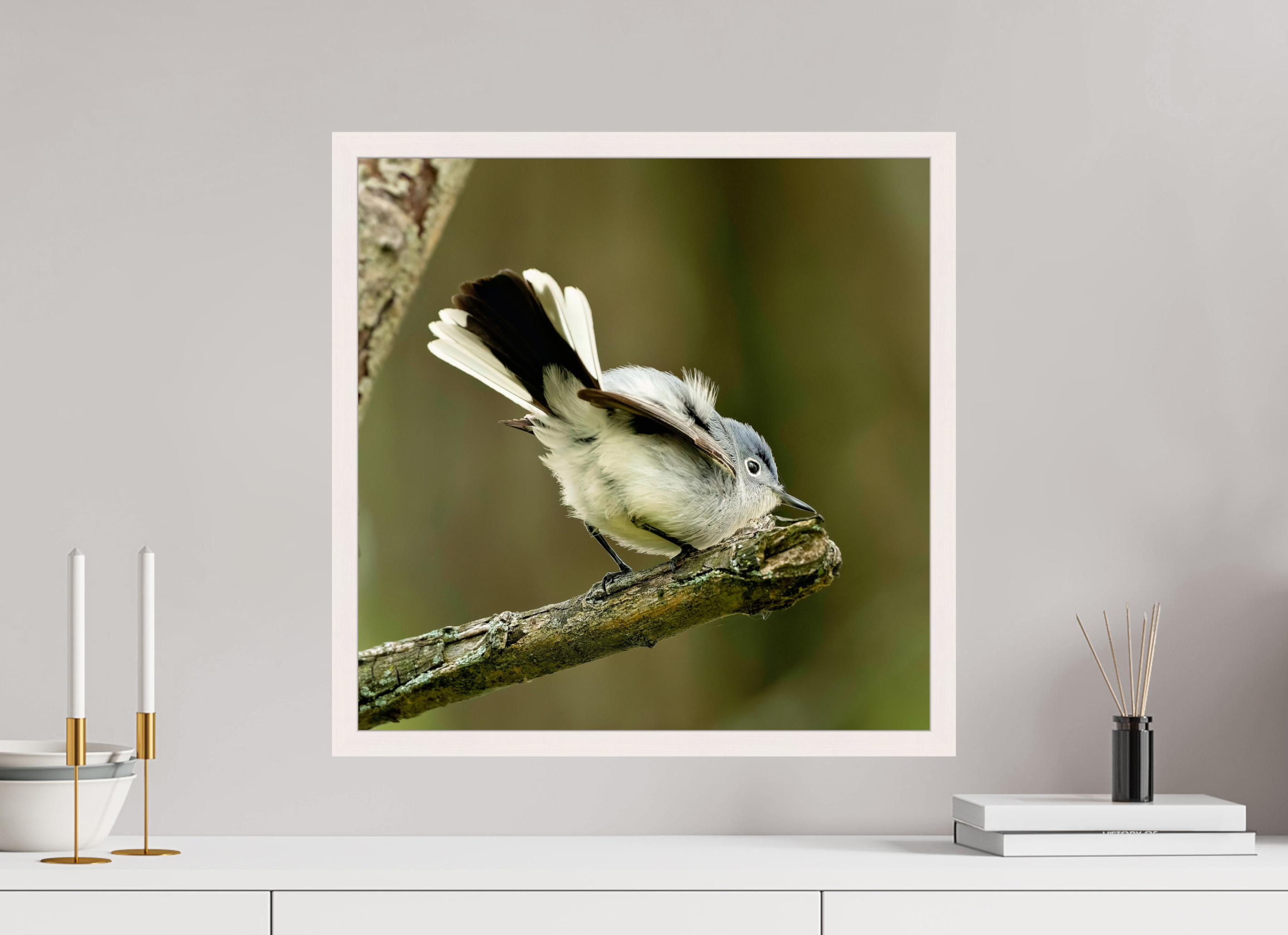 20 x 20″, Gallery Frame Shake Your Tail Feathers!
