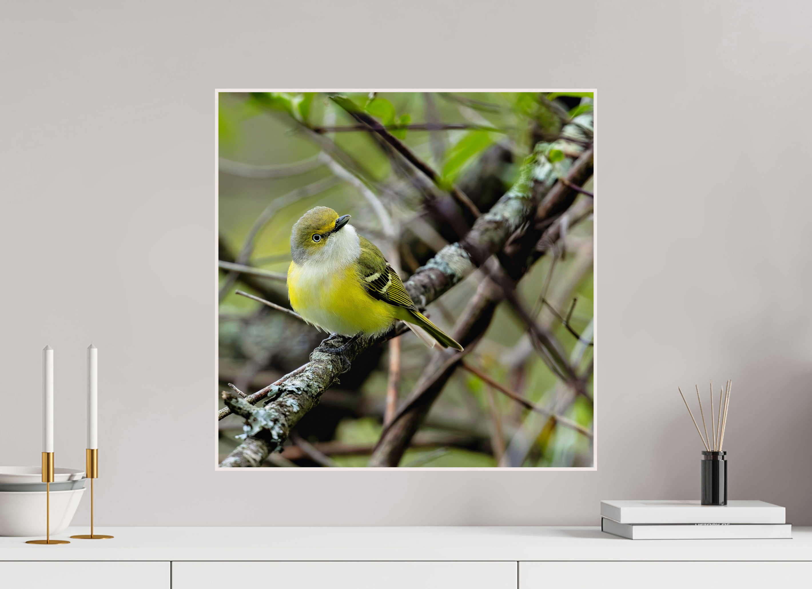 20 x 20″, Solid Wood ArtBox Bright-eyed and Bushy-tailed