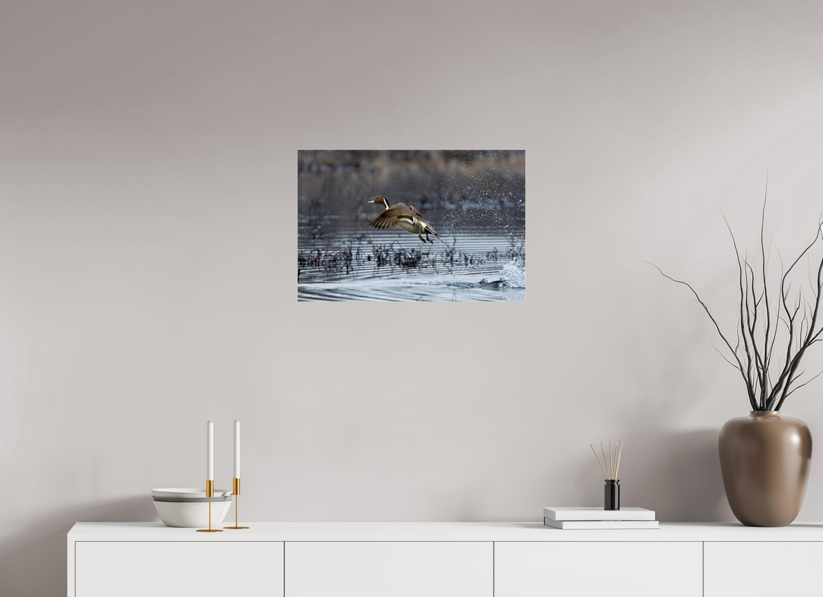 24 x 16″, Print Under Acrylic Glass Pintail Making His Point