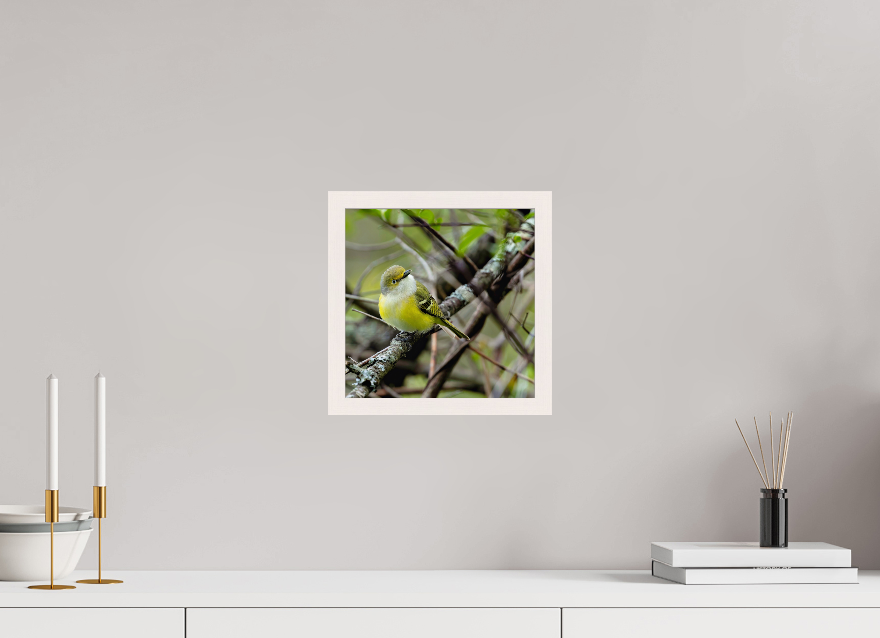 10 x 10″, Gallery Frame Bright-eyed and Bushy-tailed