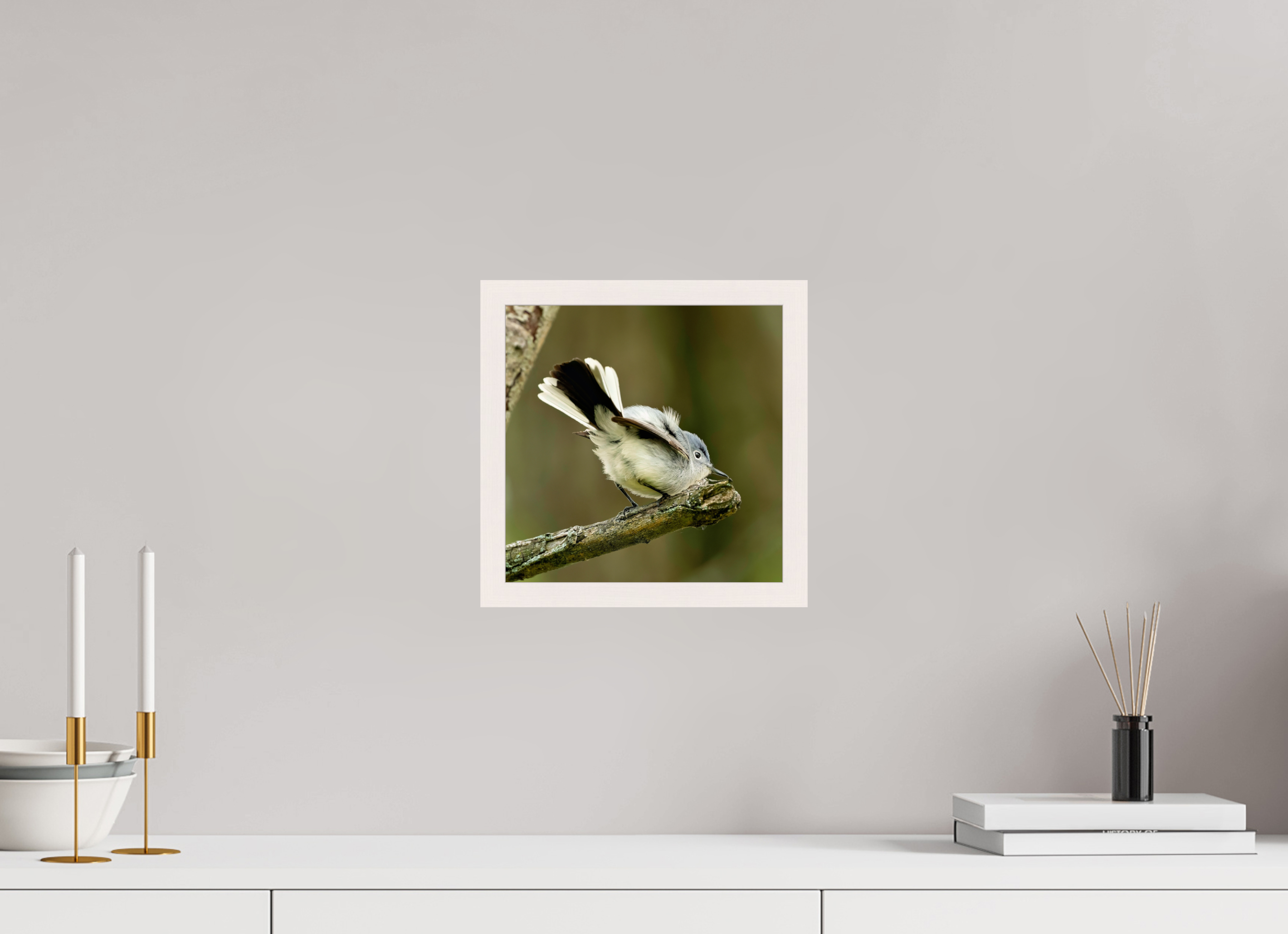 10 x 10″, Gallery Frame Shake Your Tail Feathers!