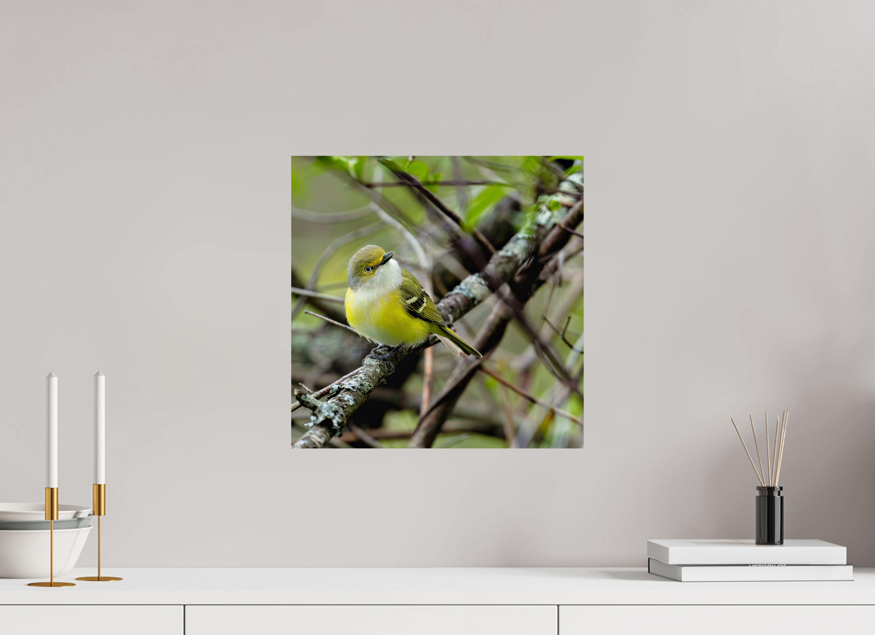 15 x 15″, Photo Print On Fuji Crystal DP II Bright-eyed and Bushy-tailed