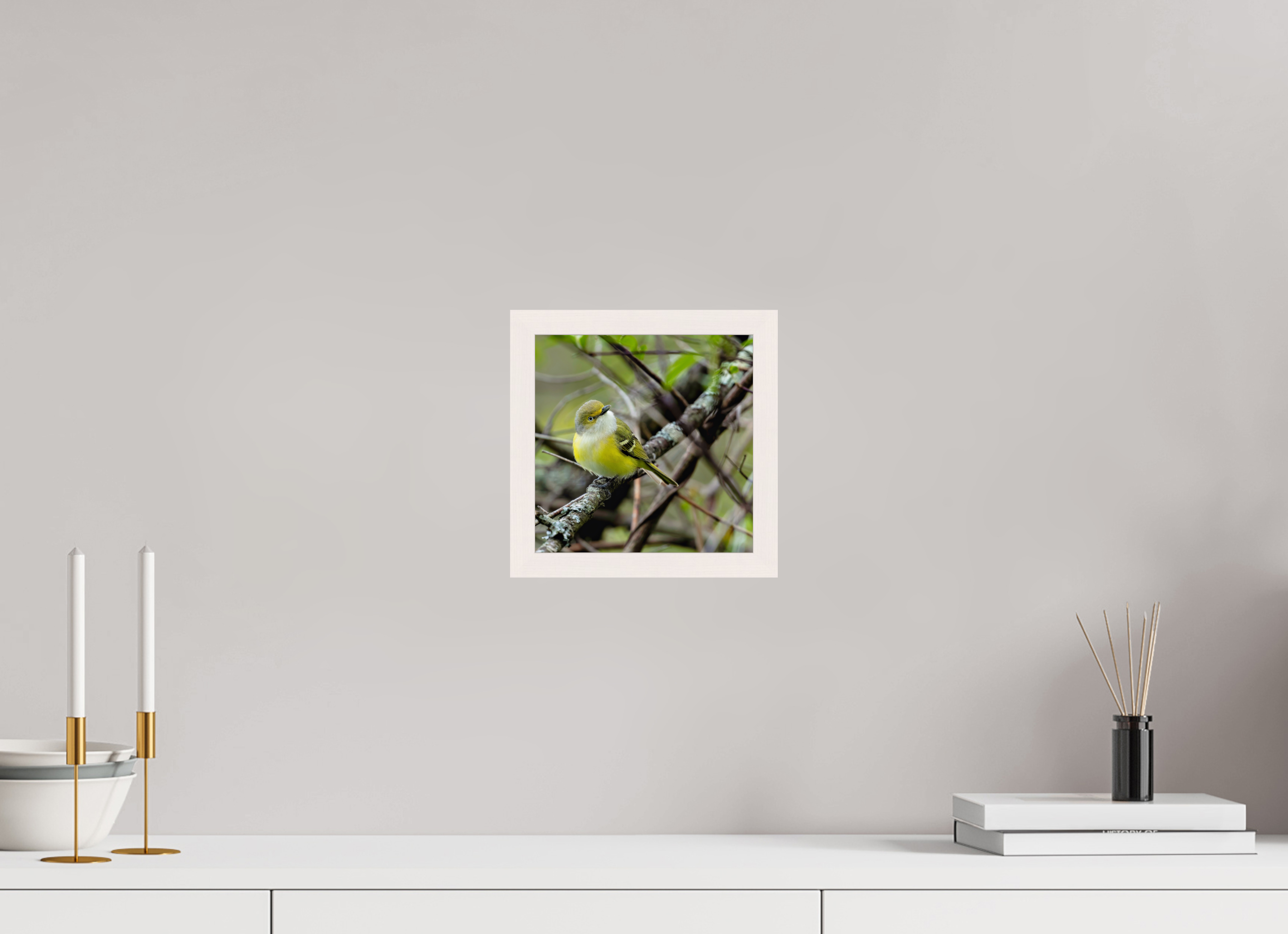 8 x 8″, Gallery Frame Bright-eyed and Bushy-tailed