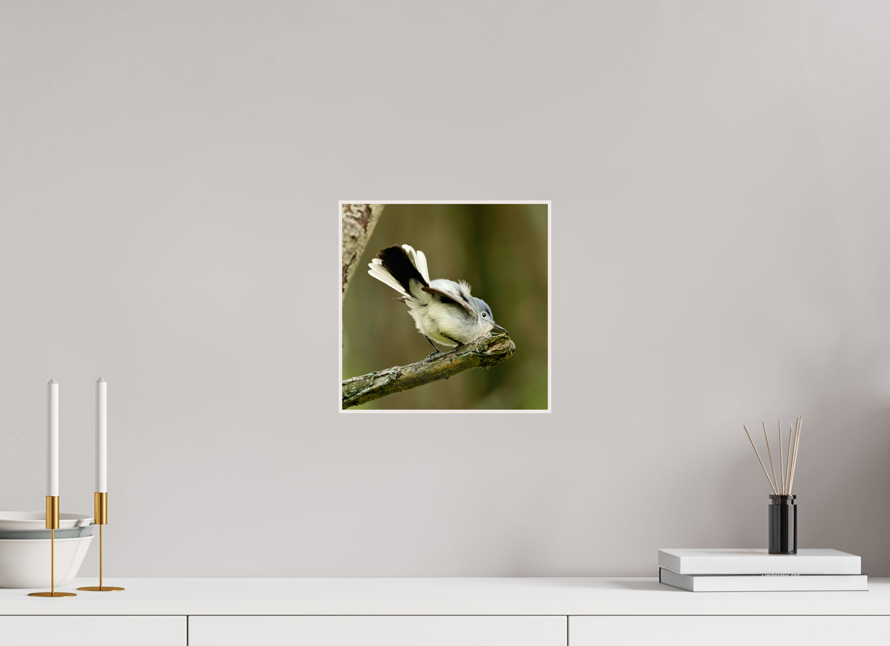 10 x 10″, Solid Wood ArtBox Shake Your Tail Feathers!