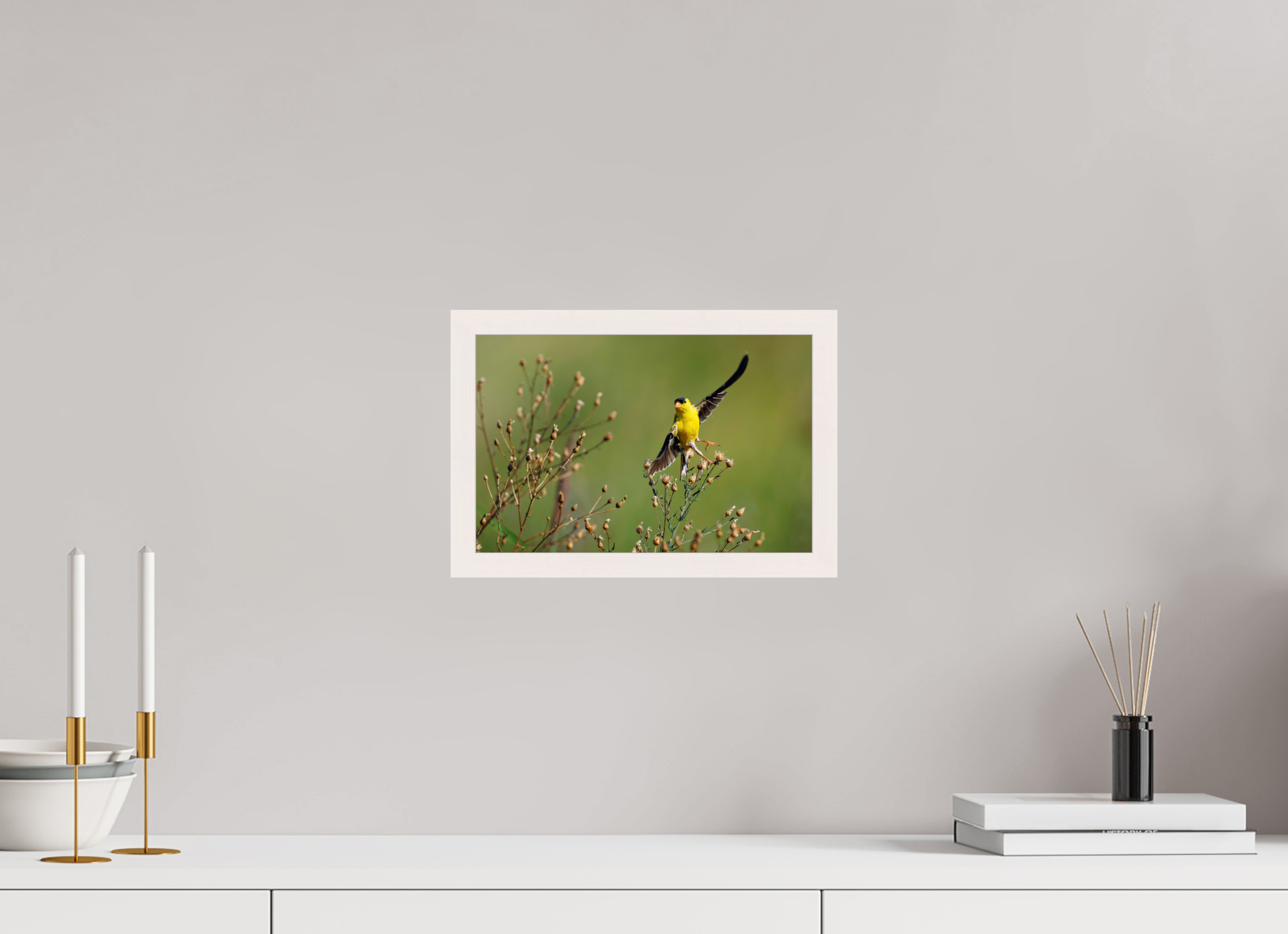 12 x 8″, Gallery Frame Goldie Takes Flight