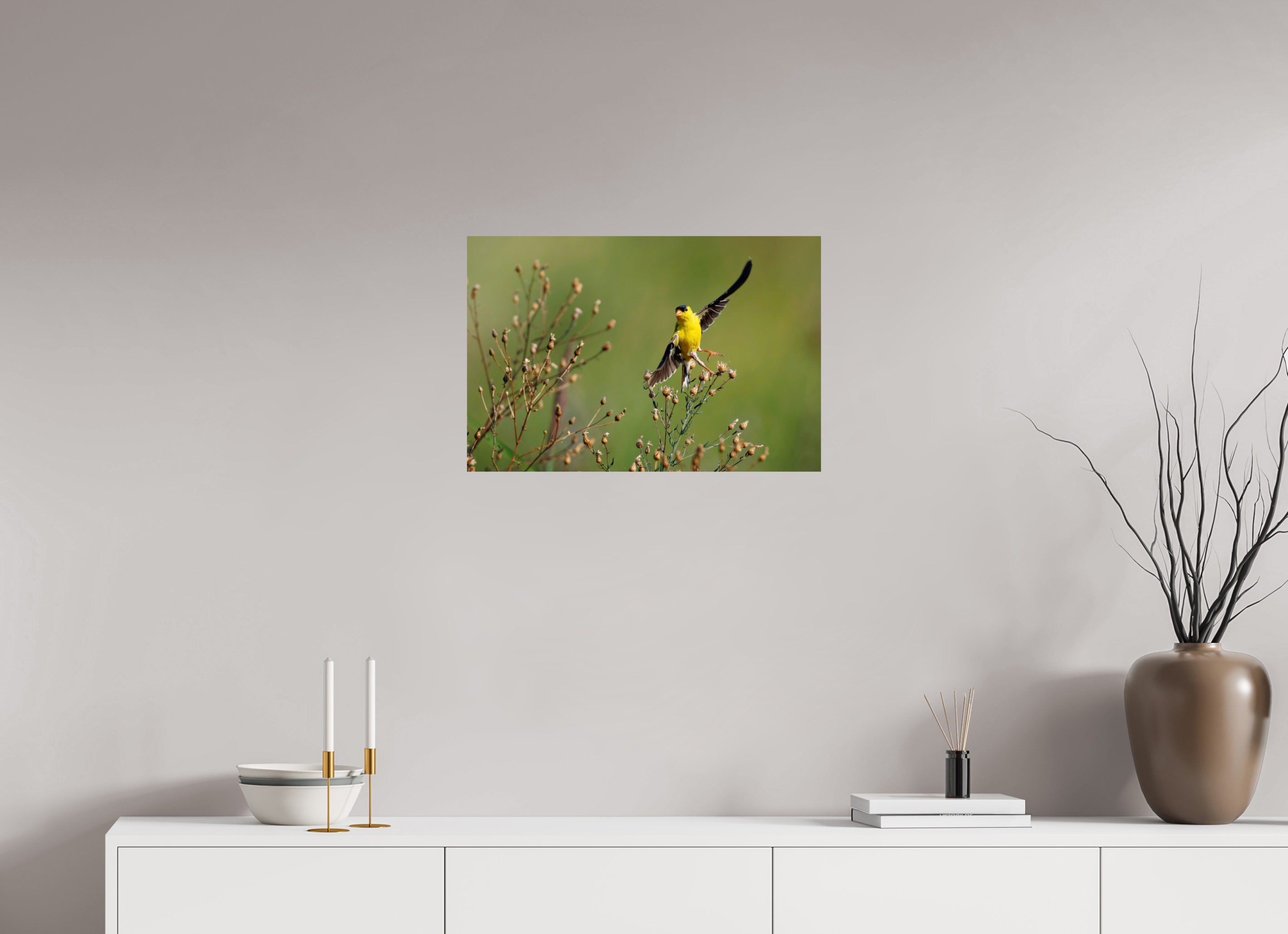 24 x 16″, Photo Print On Fuji Crystal DP II Goldie Takes Flight